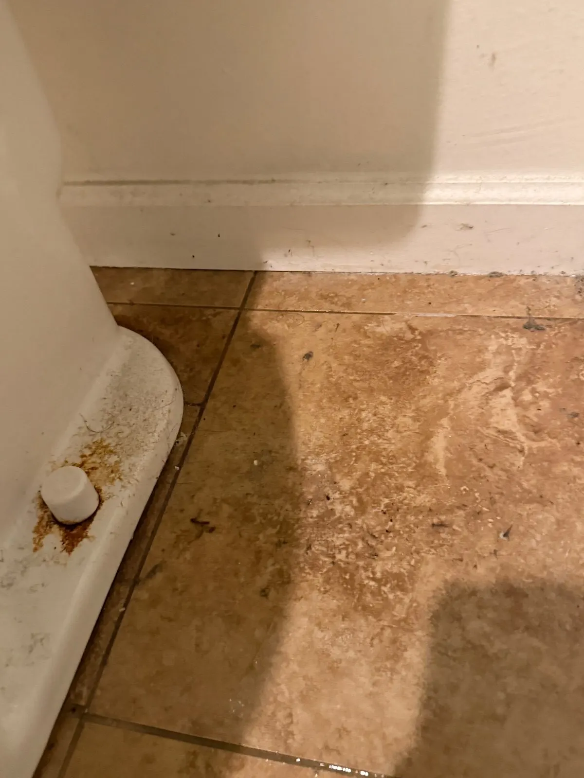 Before — House Cleaning in Roseville, CA — September 2026