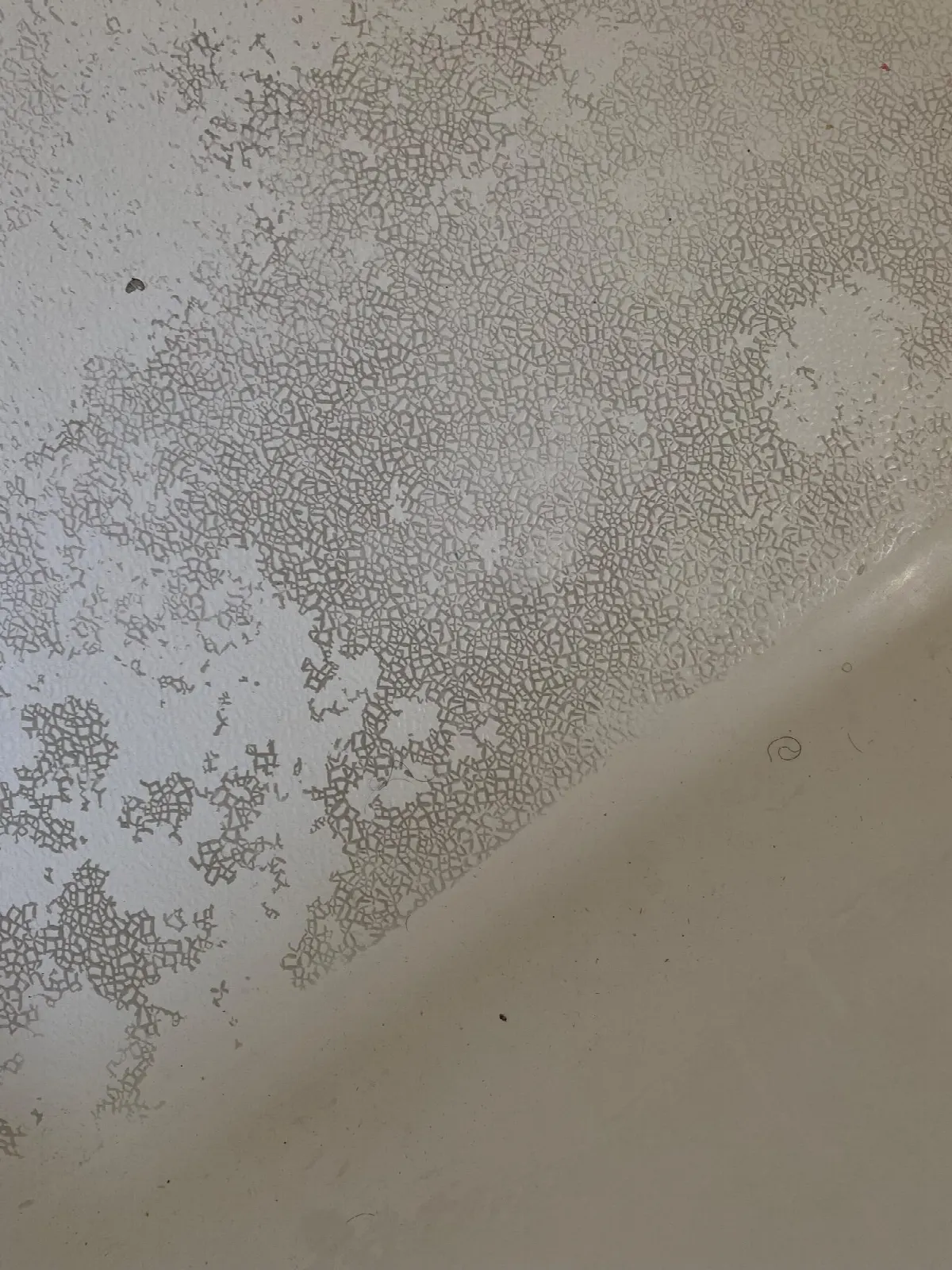Before — House Cleaning in Mather, CA — July 2026