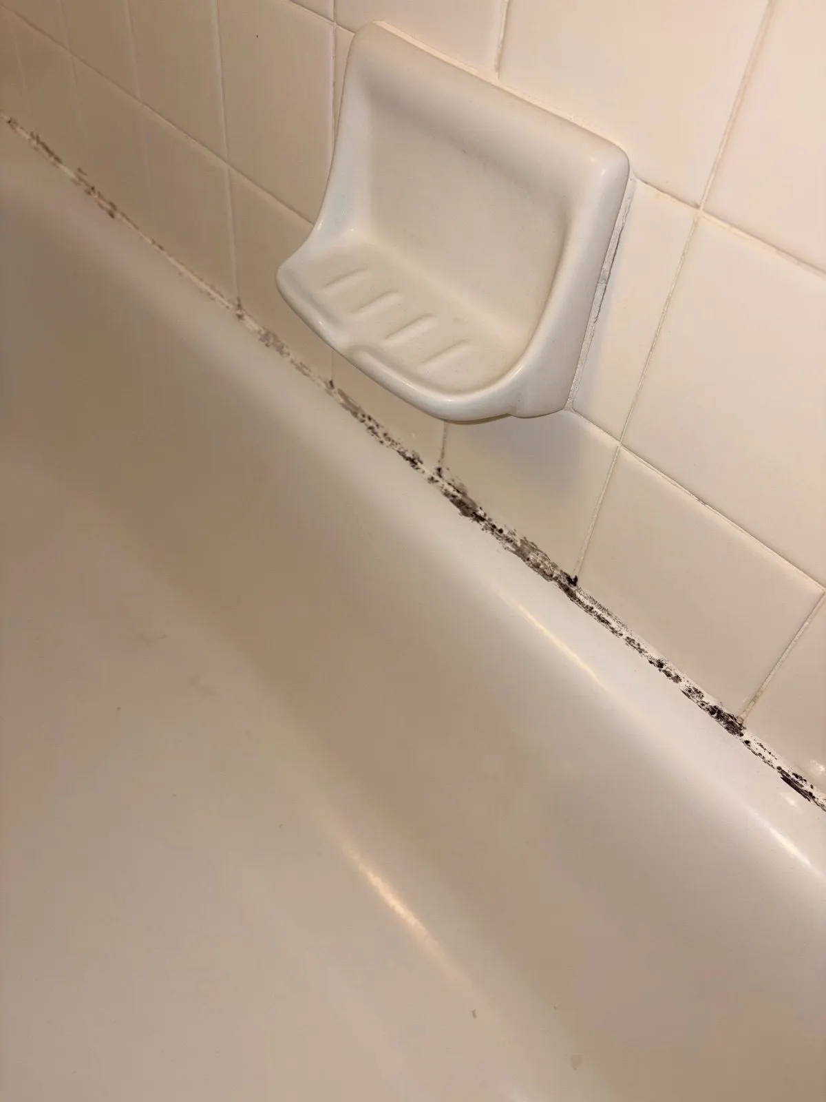 Before — House Cleaning in Davis, CA — September 2026