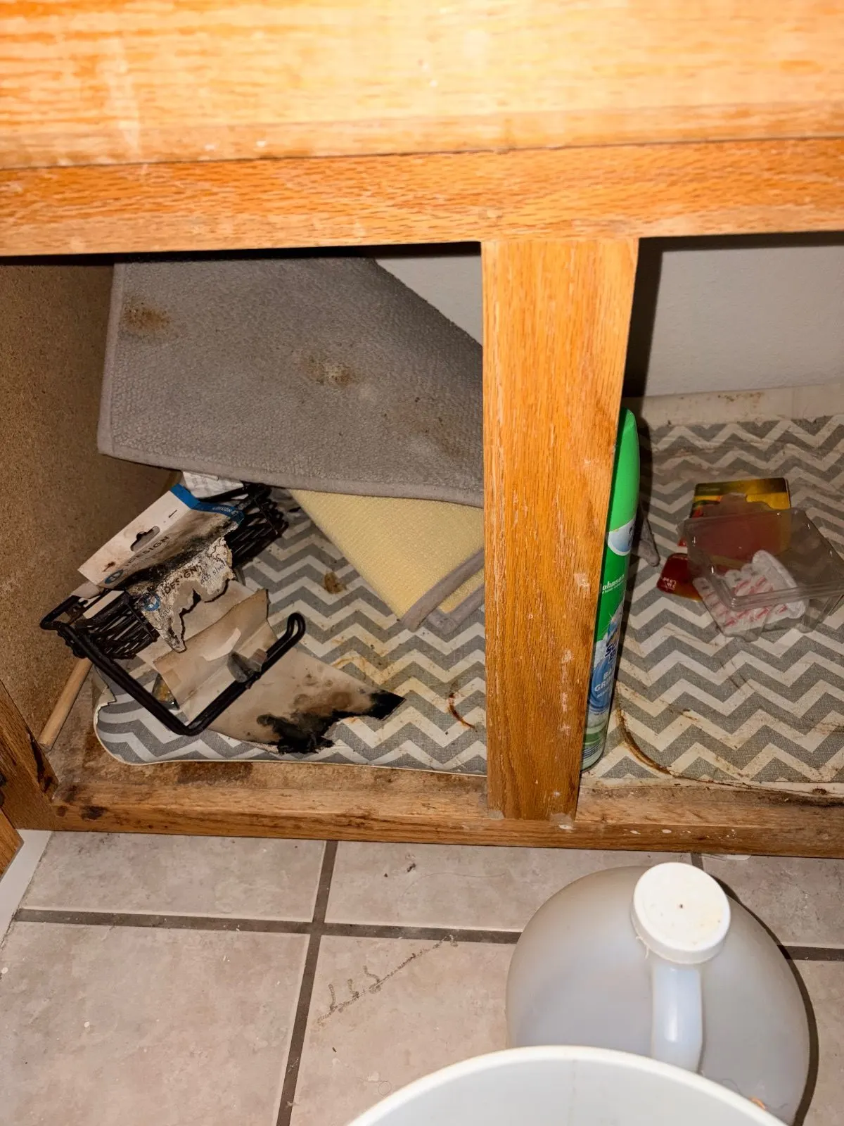 Before — House Cleaning in Davis, CA — September 2026