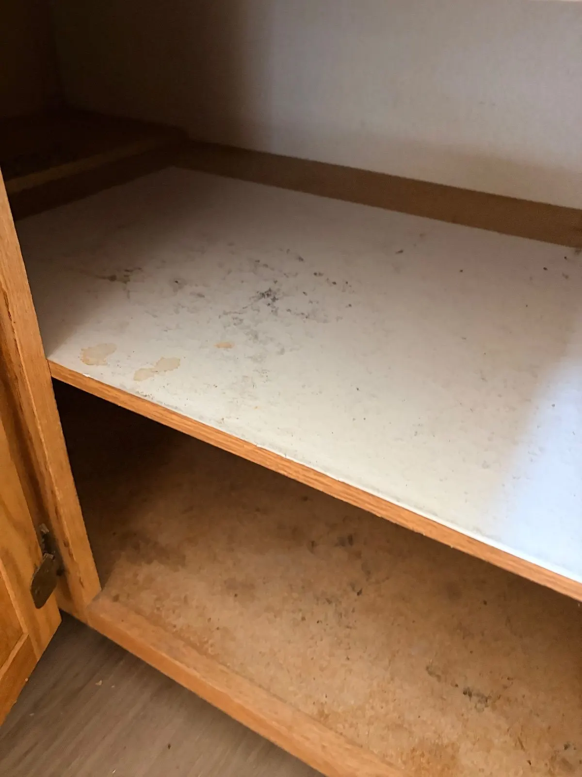Before — House Cleaning in Davis, CA — September 2026