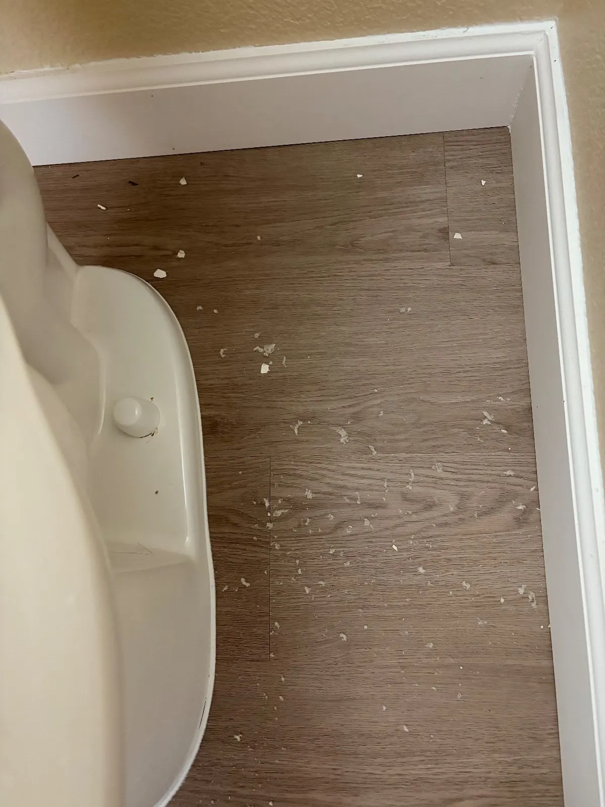 Before — House Cleaning in Davis, CA — September 2026