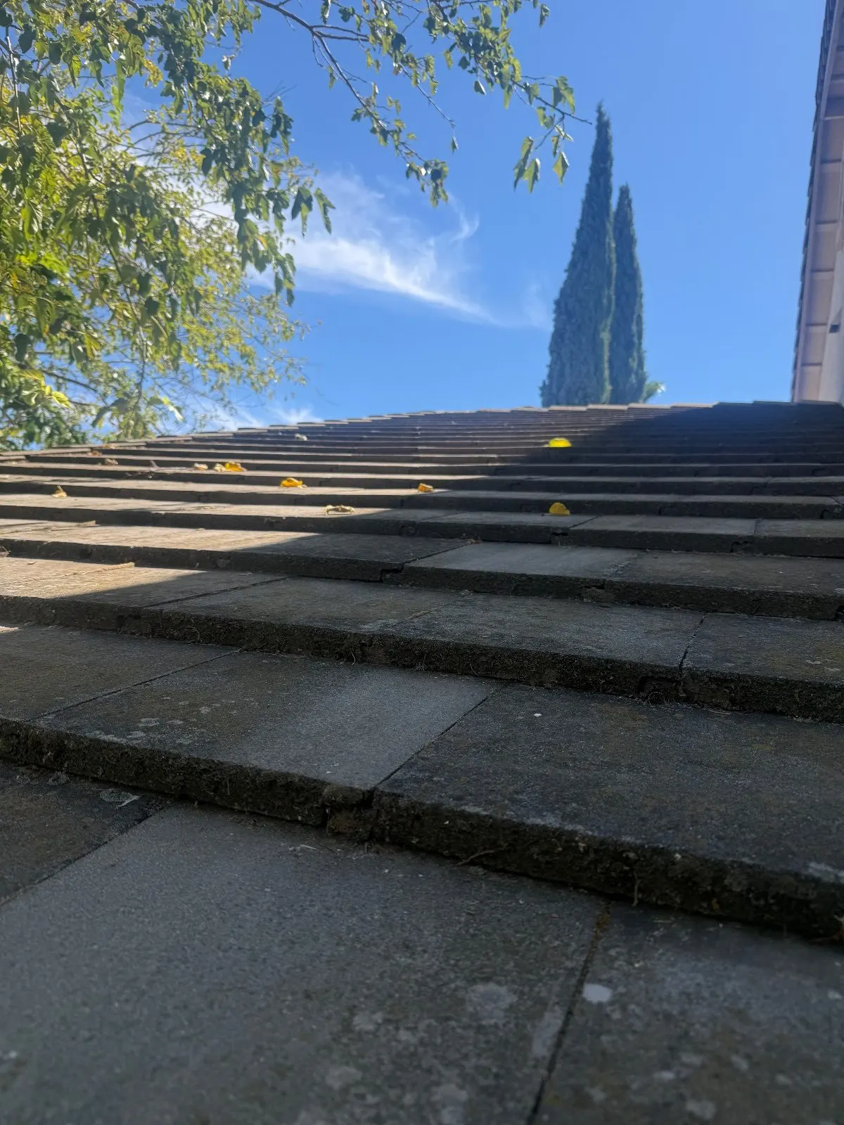 Before — Gutter Cleaning and Maintenance in Sacramento, CA — September 2026