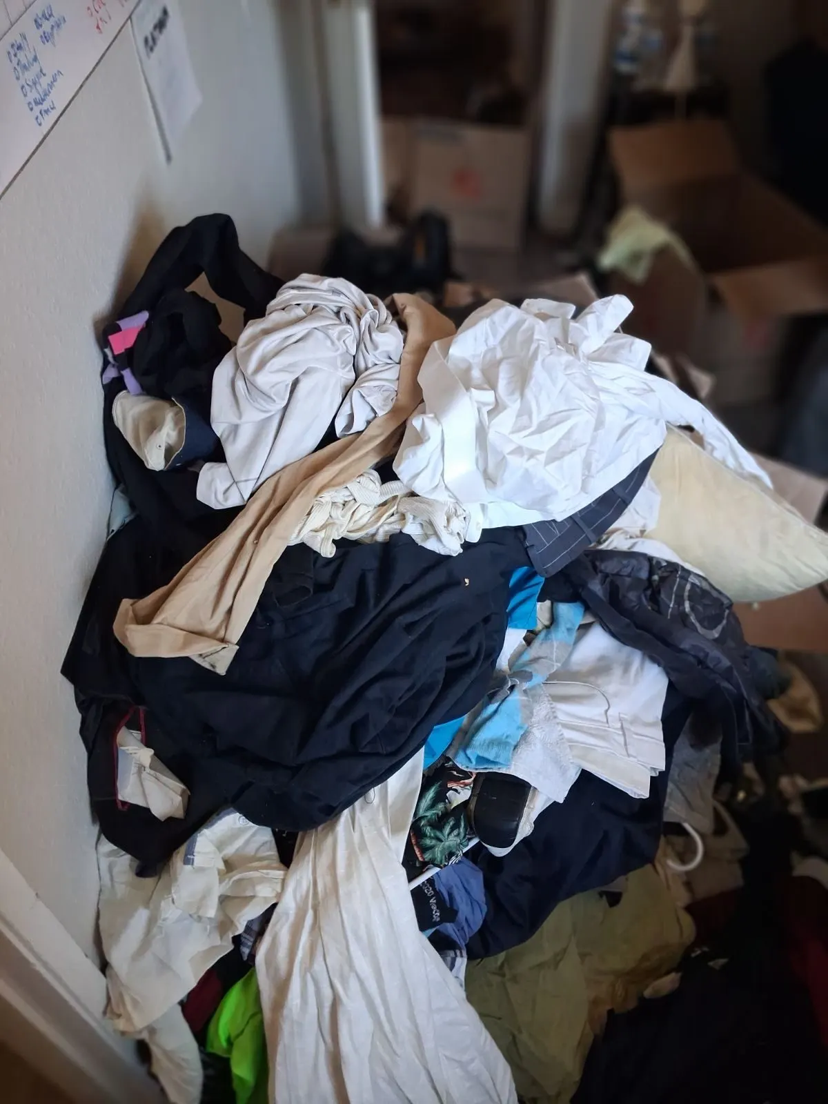 Before — House Cleaning in Sacramento, CA — September 2026