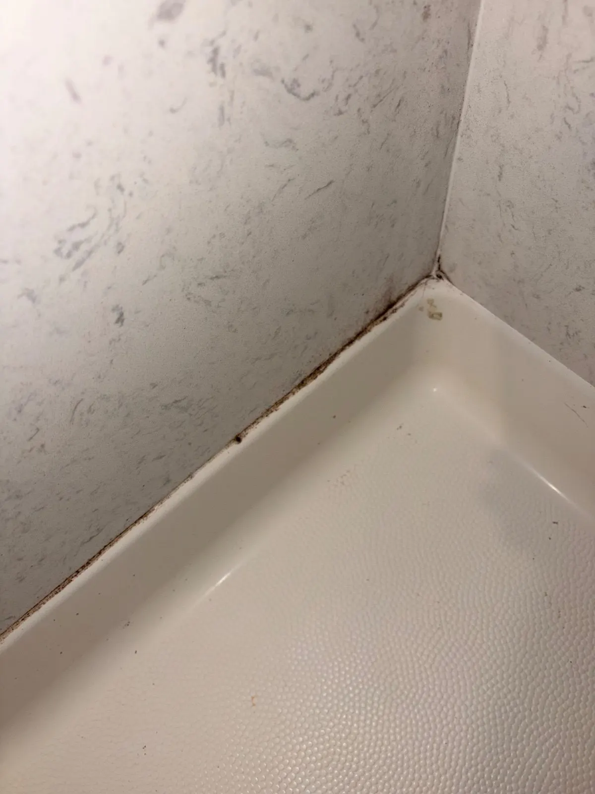 Before — House Cleaning in Folsom, CA — September 2026