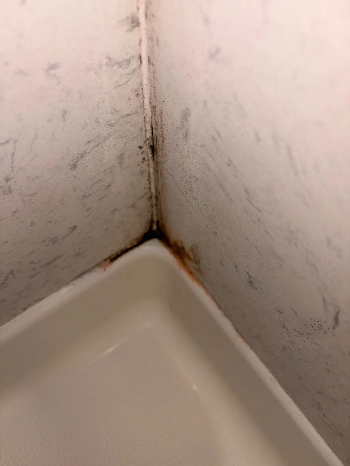 Before — House Cleaning in Folsom, CA — September 2026