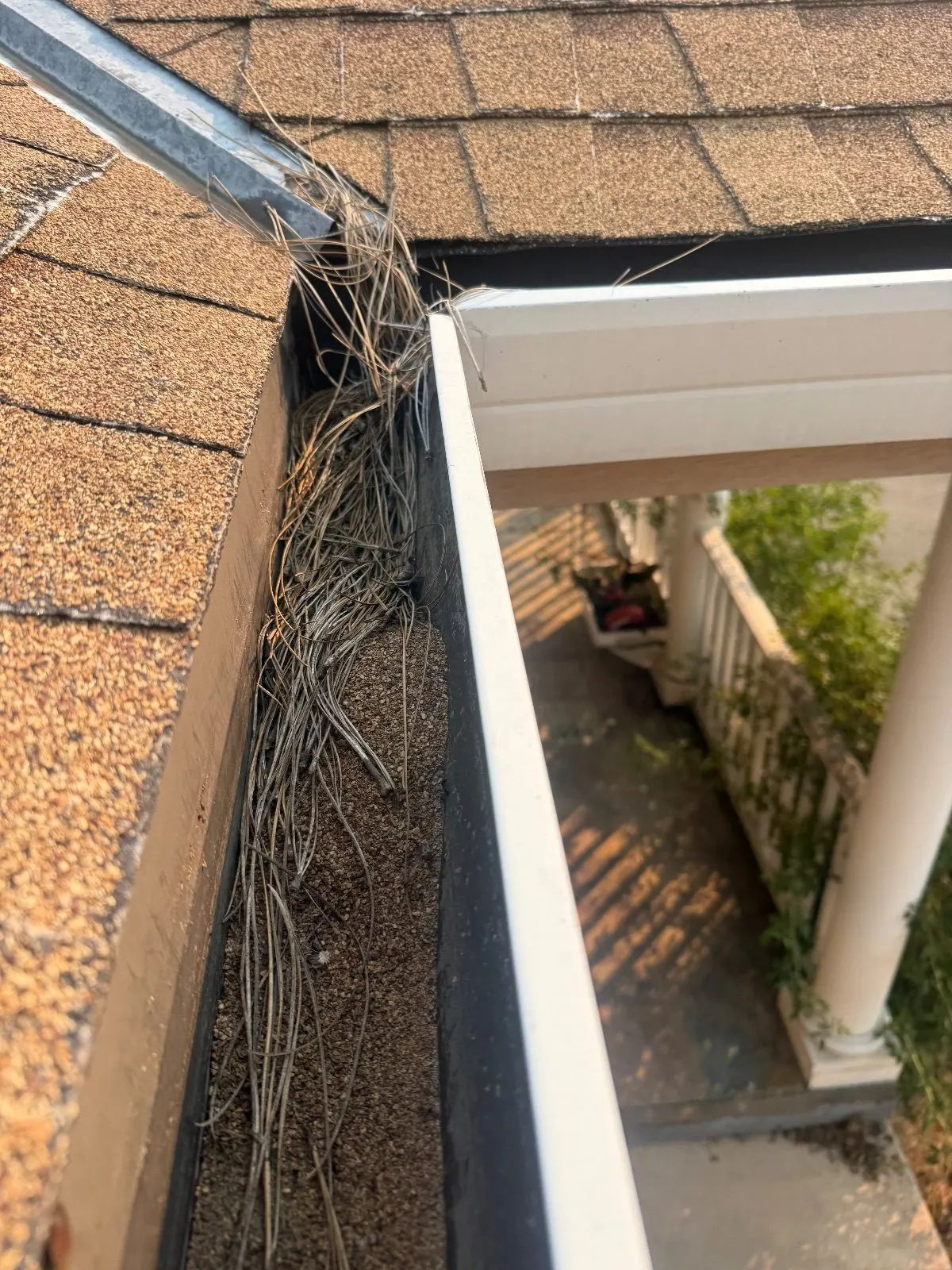 Before — Gutter Cleaning and Maintenance in Applegate, CA — September 2026