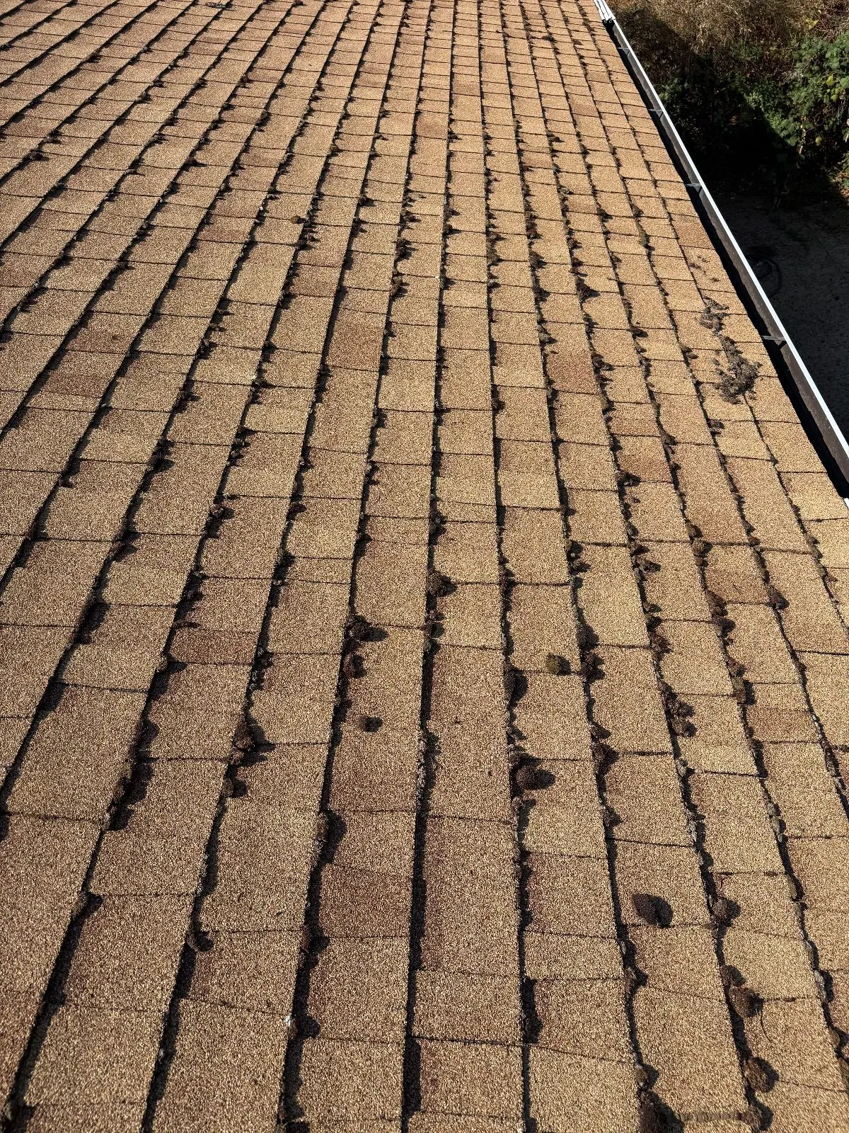Before — Gutter Cleaning and Maintenance in Applegate, CA — September 2026