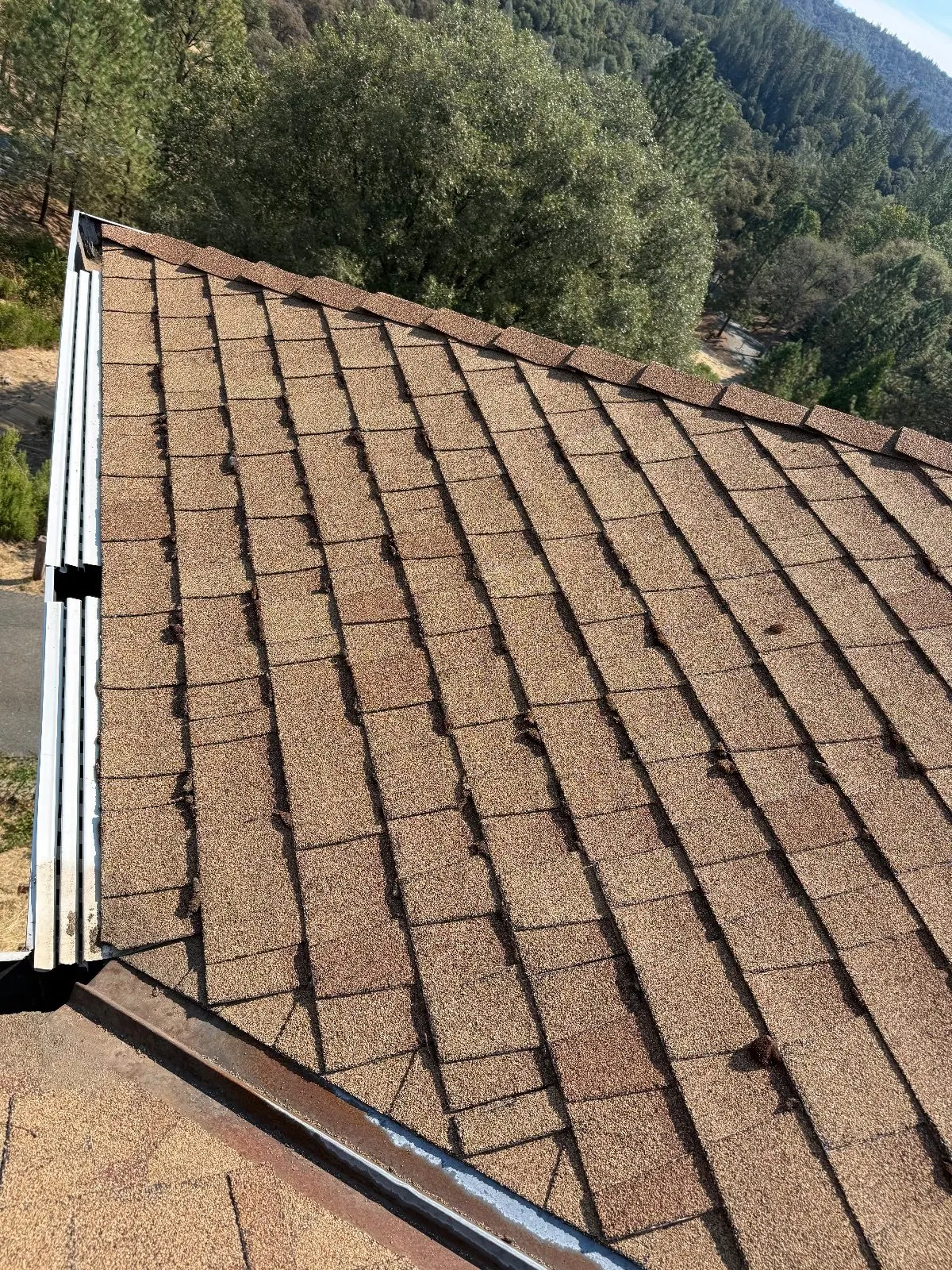 Before — Gutter Cleaning and Maintenance in Applegate, CA — September 2026