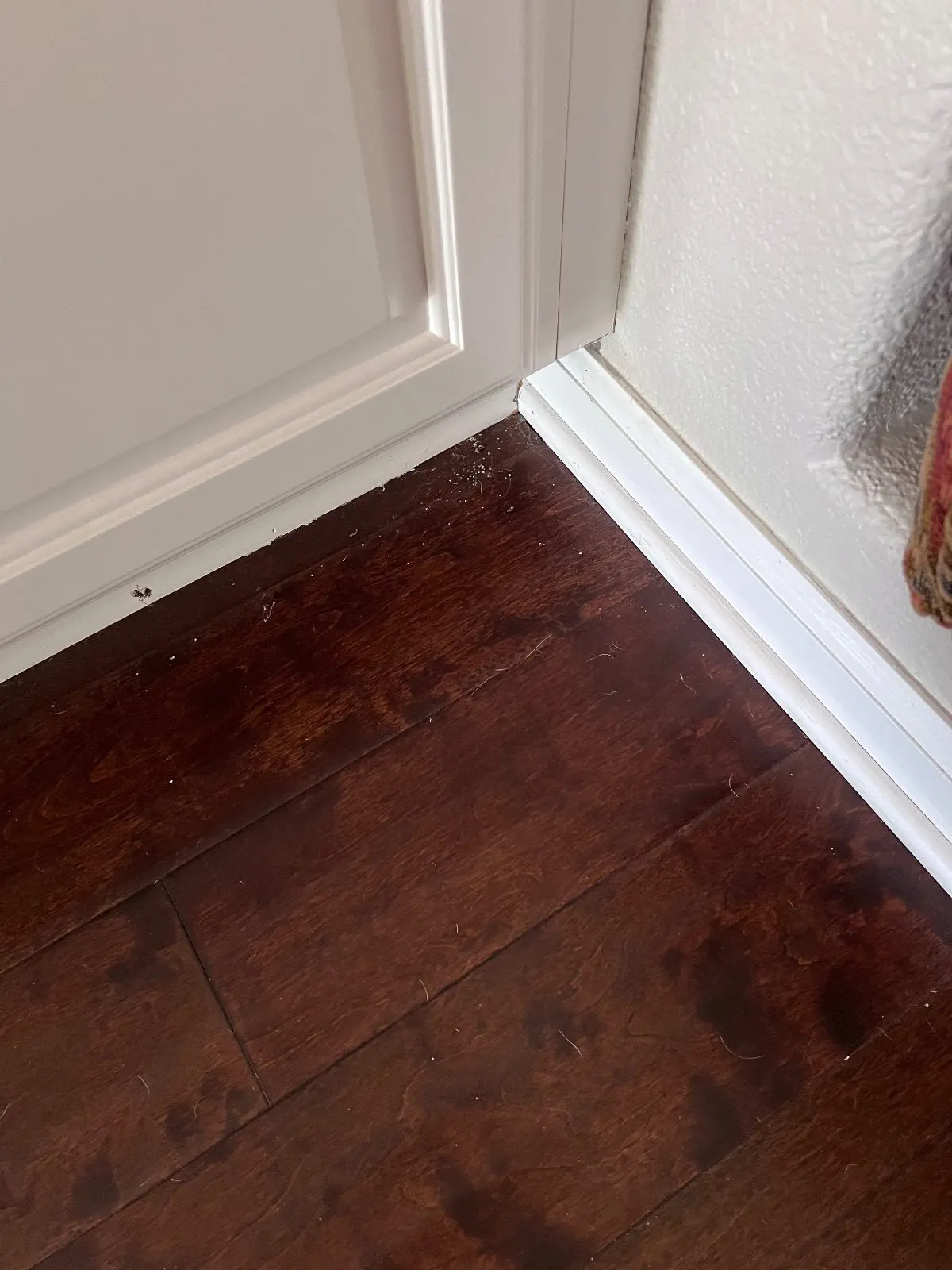 Before — House Cleaning in Roseville, CA — September 2026