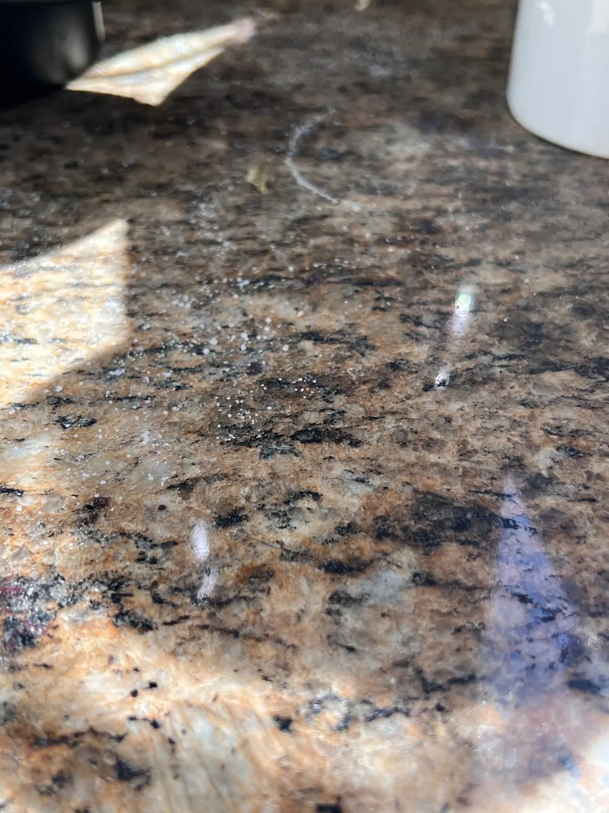 Before — House Cleaning in Roseville, CA — September 2026