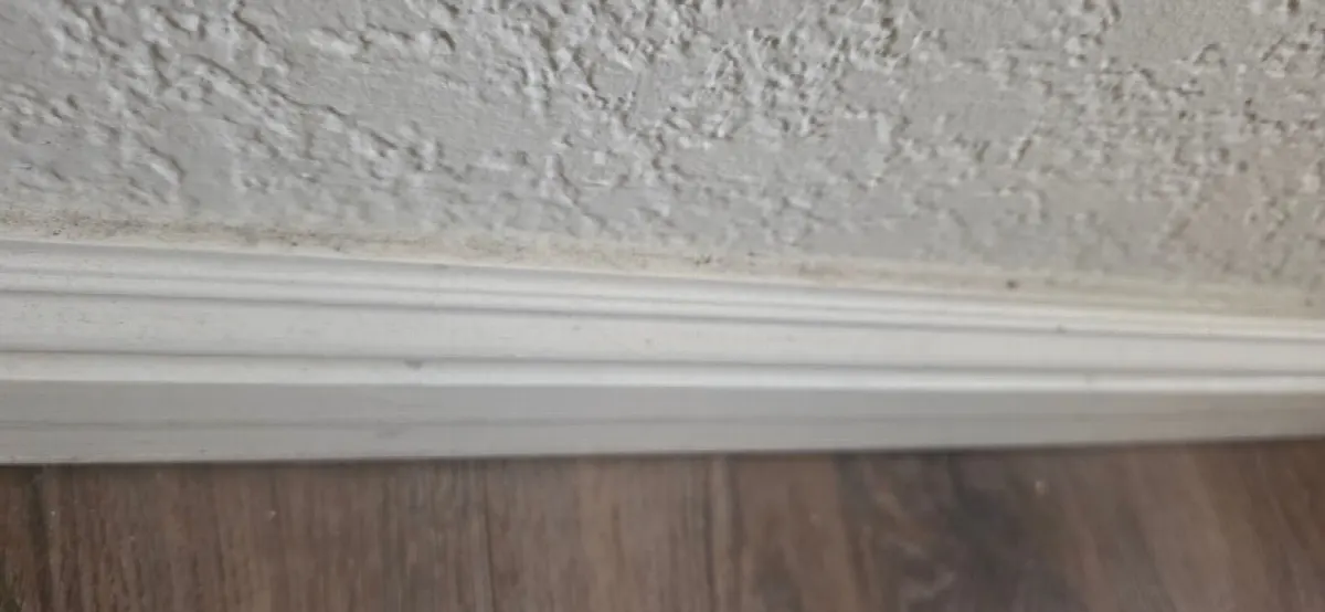 Before — House Cleaning in Folsom, CA — September 2026