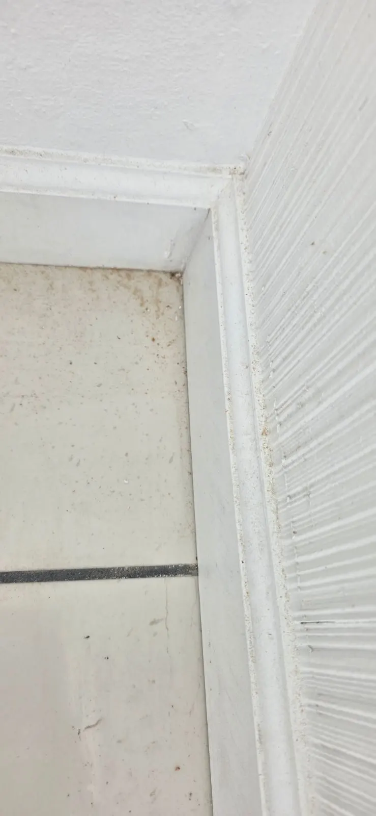 Before — House Cleaning in Sacramento, CA — September 2026