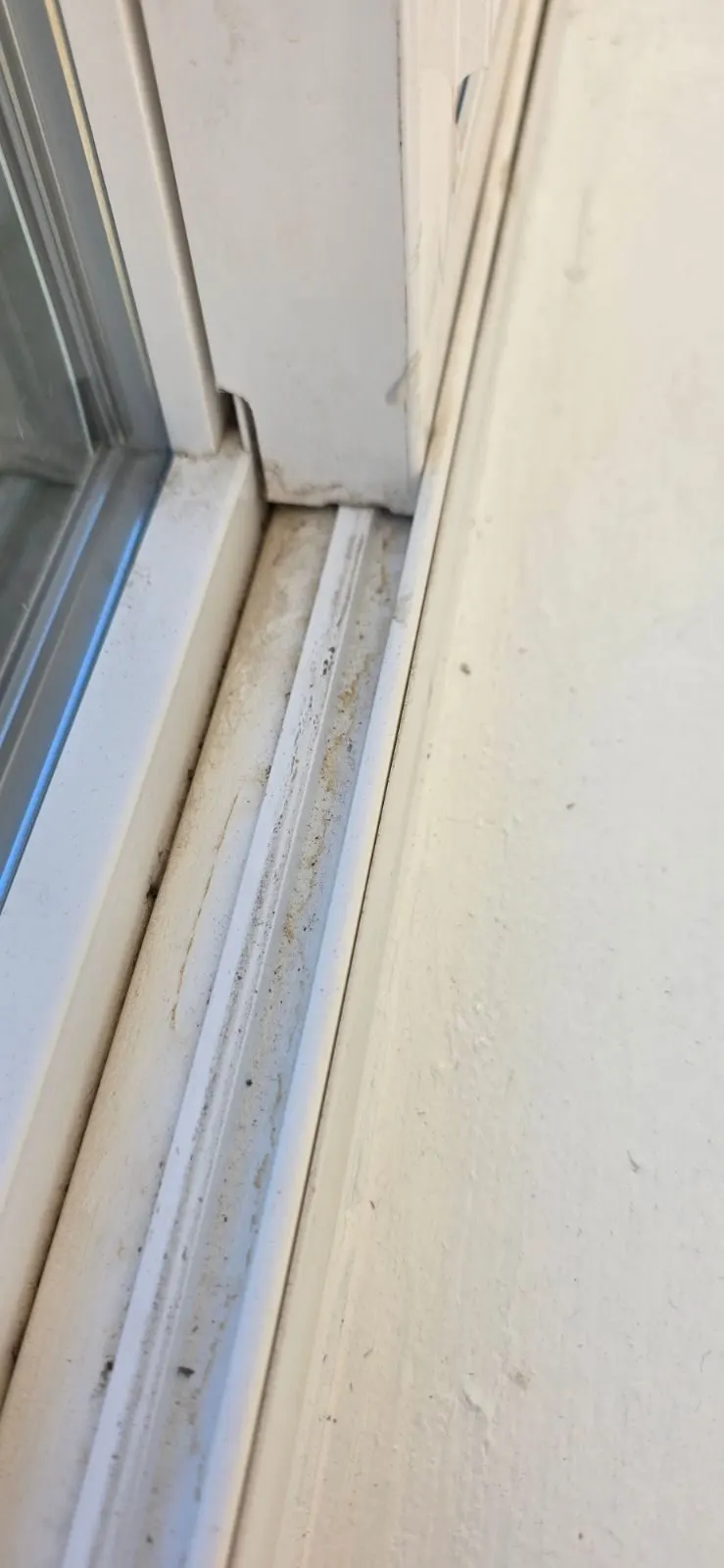Before — House Cleaning in Sacramento, CA — September 2026