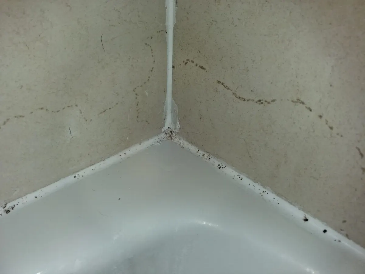 Before — House Cleaning in Davis, CA — September 2026