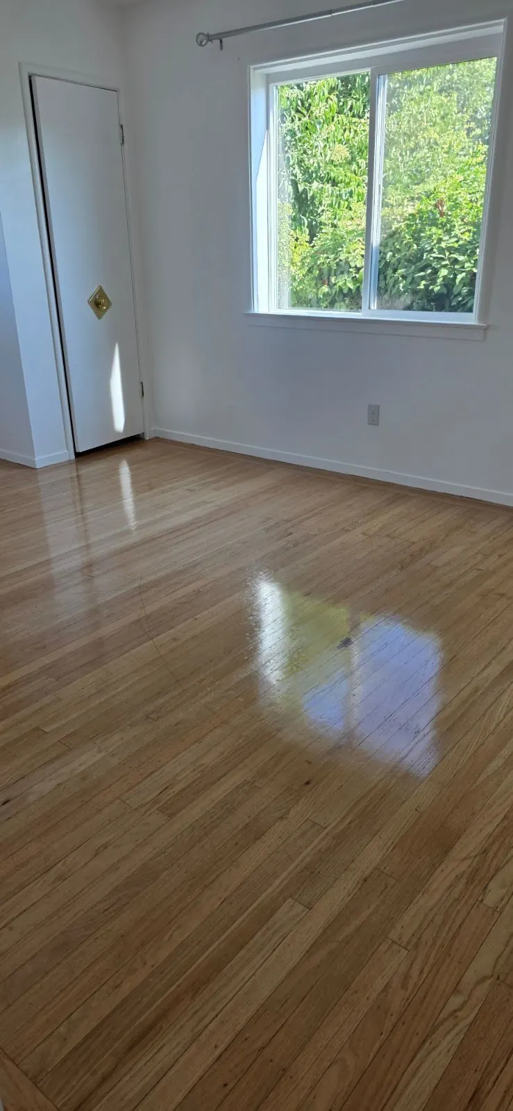 After — House Cleaning in Sacramento, CA — September 2026
