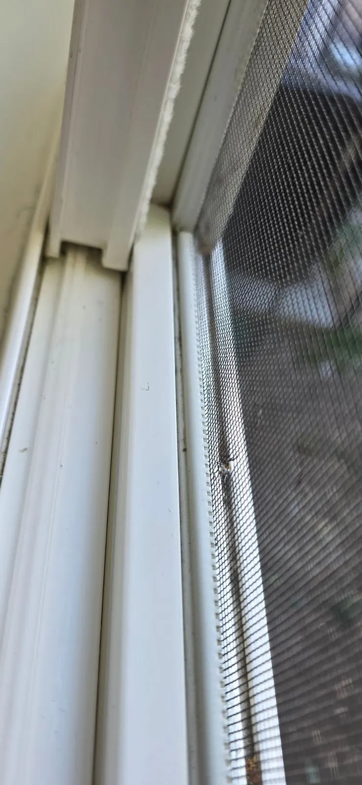After — House Cleaning in Sacramento, CA — September 2026