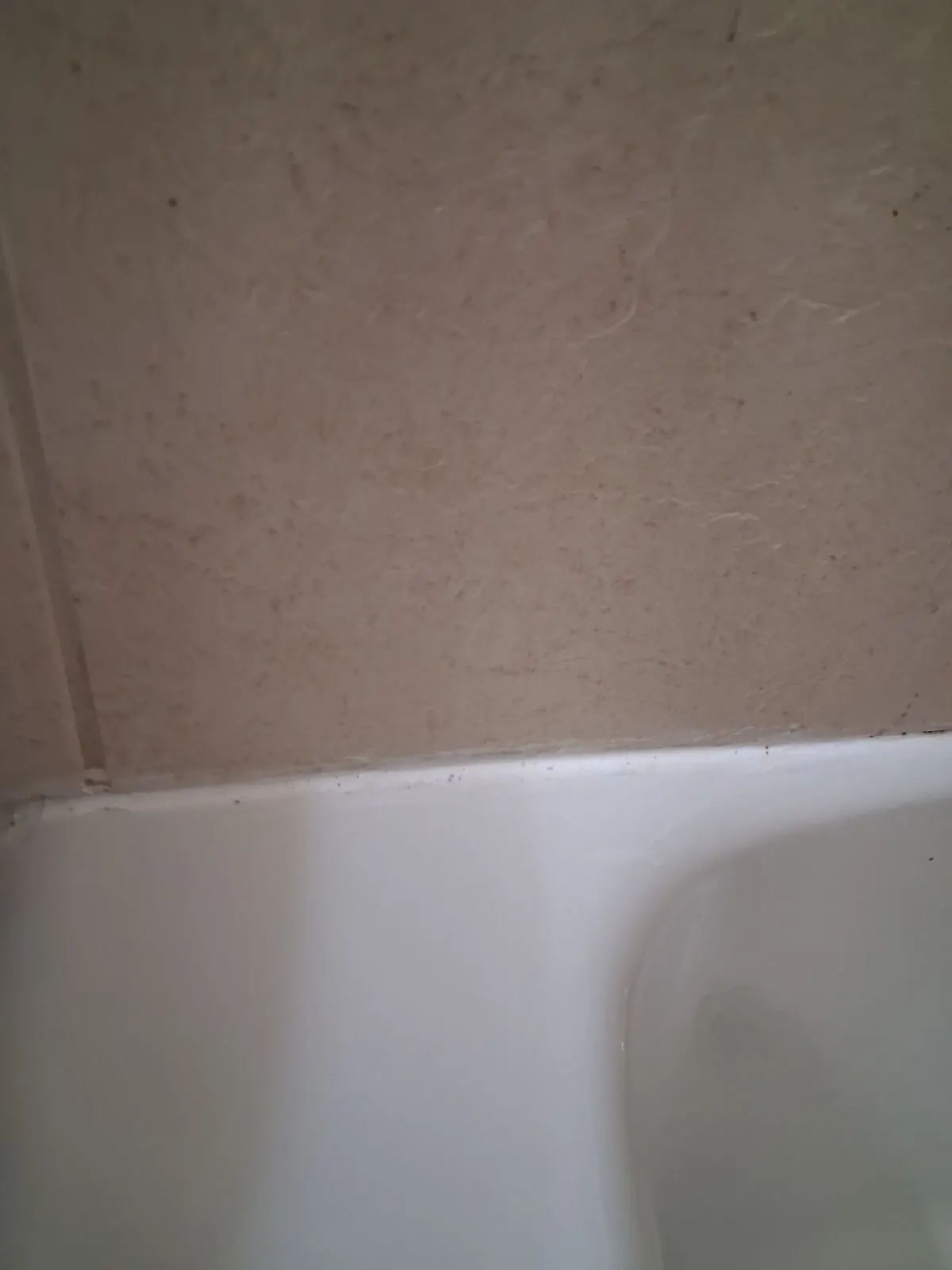 After — House Cleaning in Davis, CA — September 2026