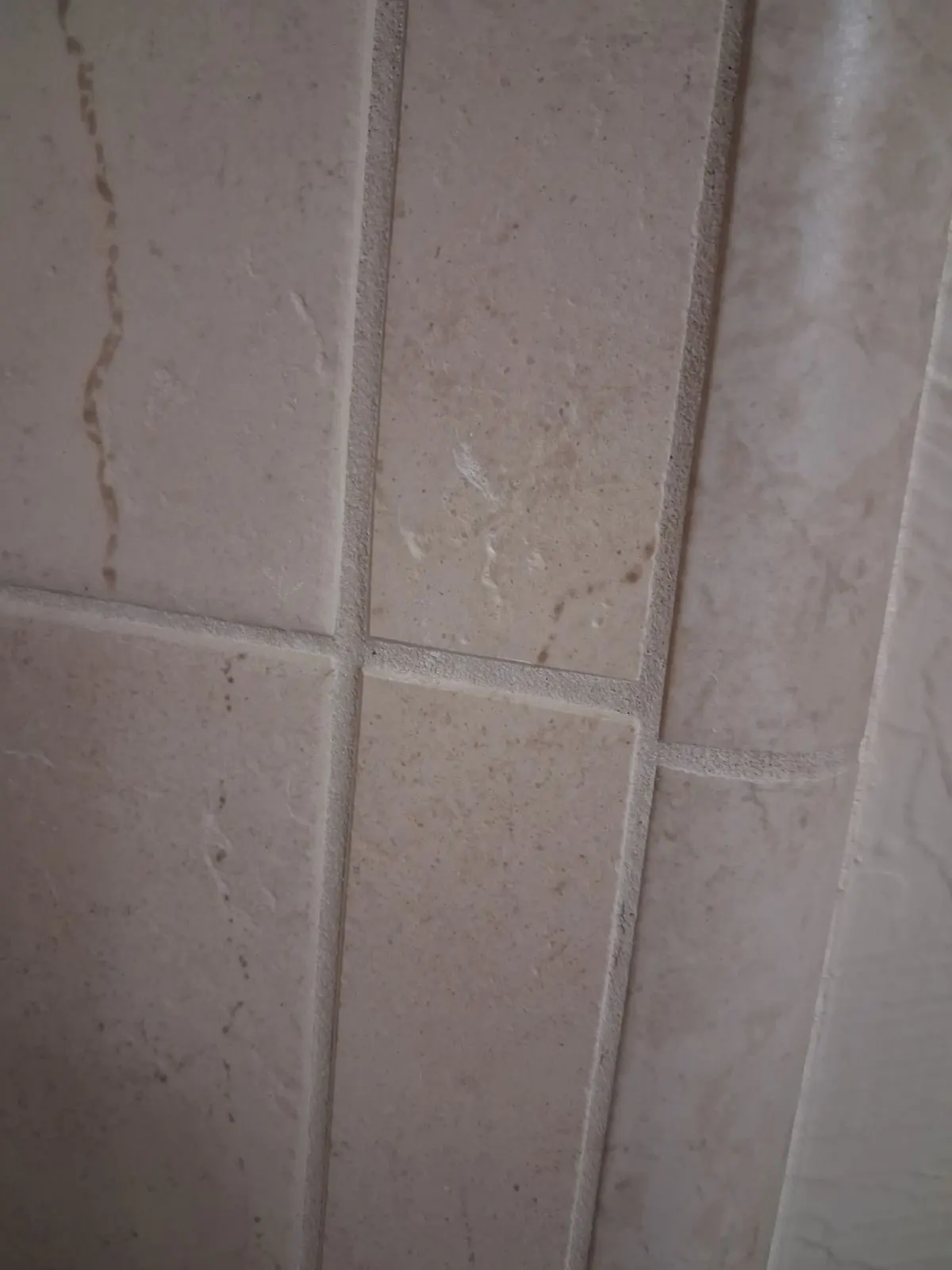 After — House Cleaning in Davis, CA — September 2026