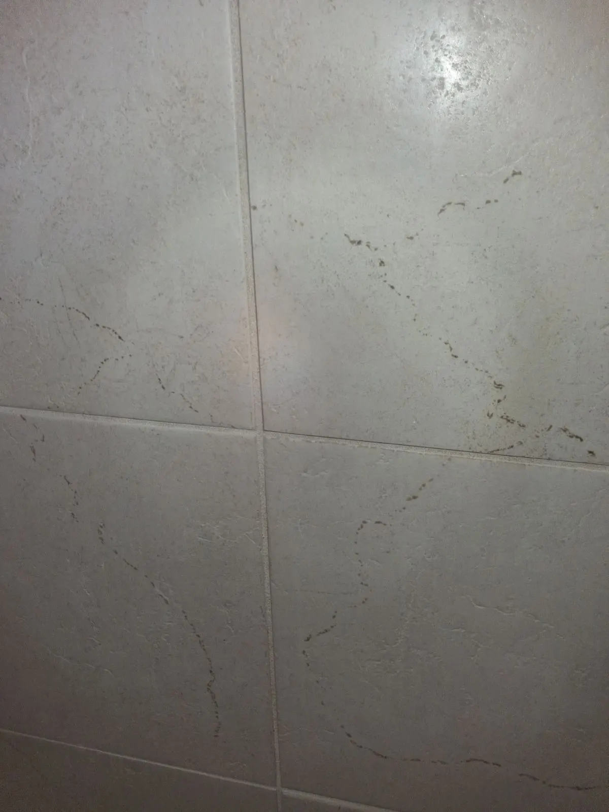 After — House Cleaning in Davis, CA — September 2026