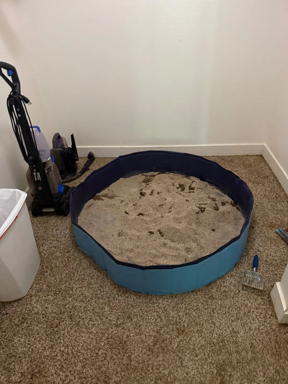 Before — House Cleaning in Sacramento, CA — September 2026