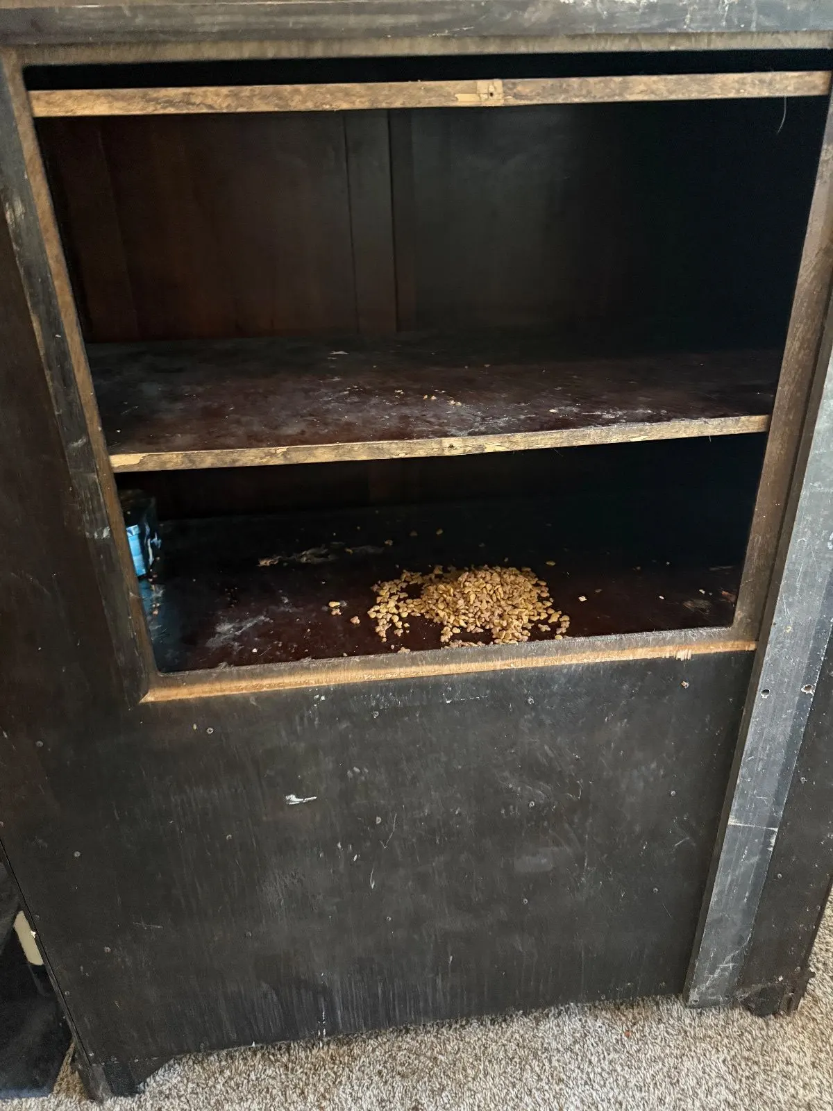 Before — House Cleaning in Sacramento, CA — September 2026