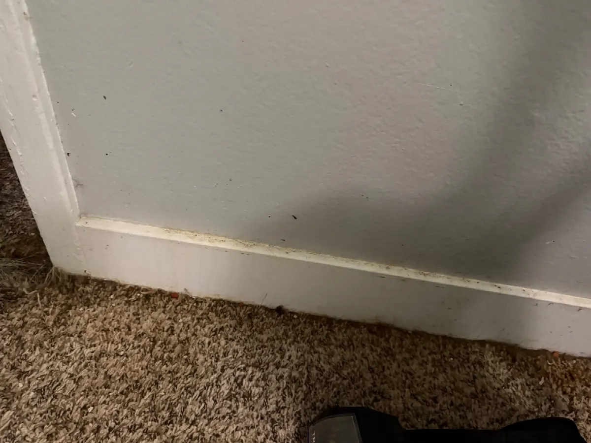 Before — House Cleaning in Sacramento, CA — September 2026