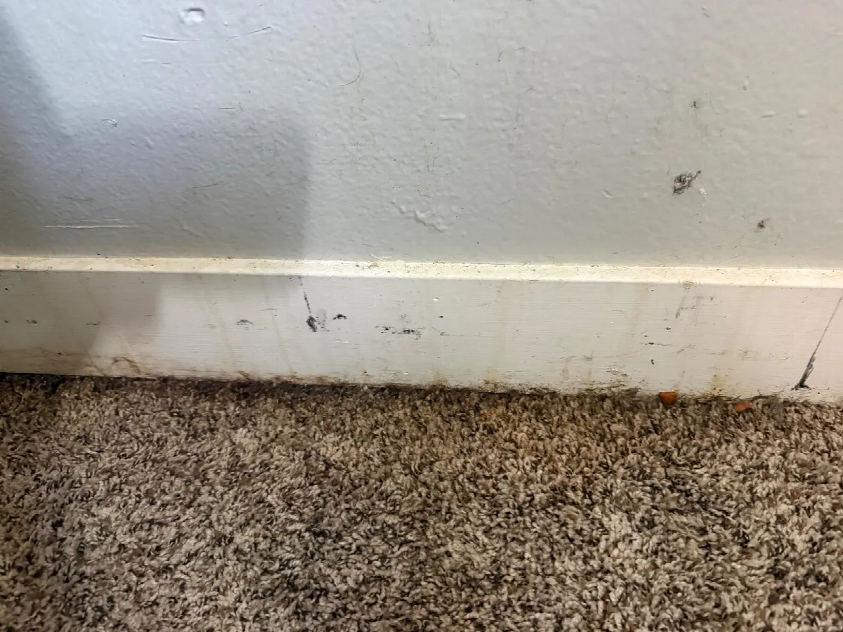 Before — House Cleaning in Sacramento, CA — September 2026