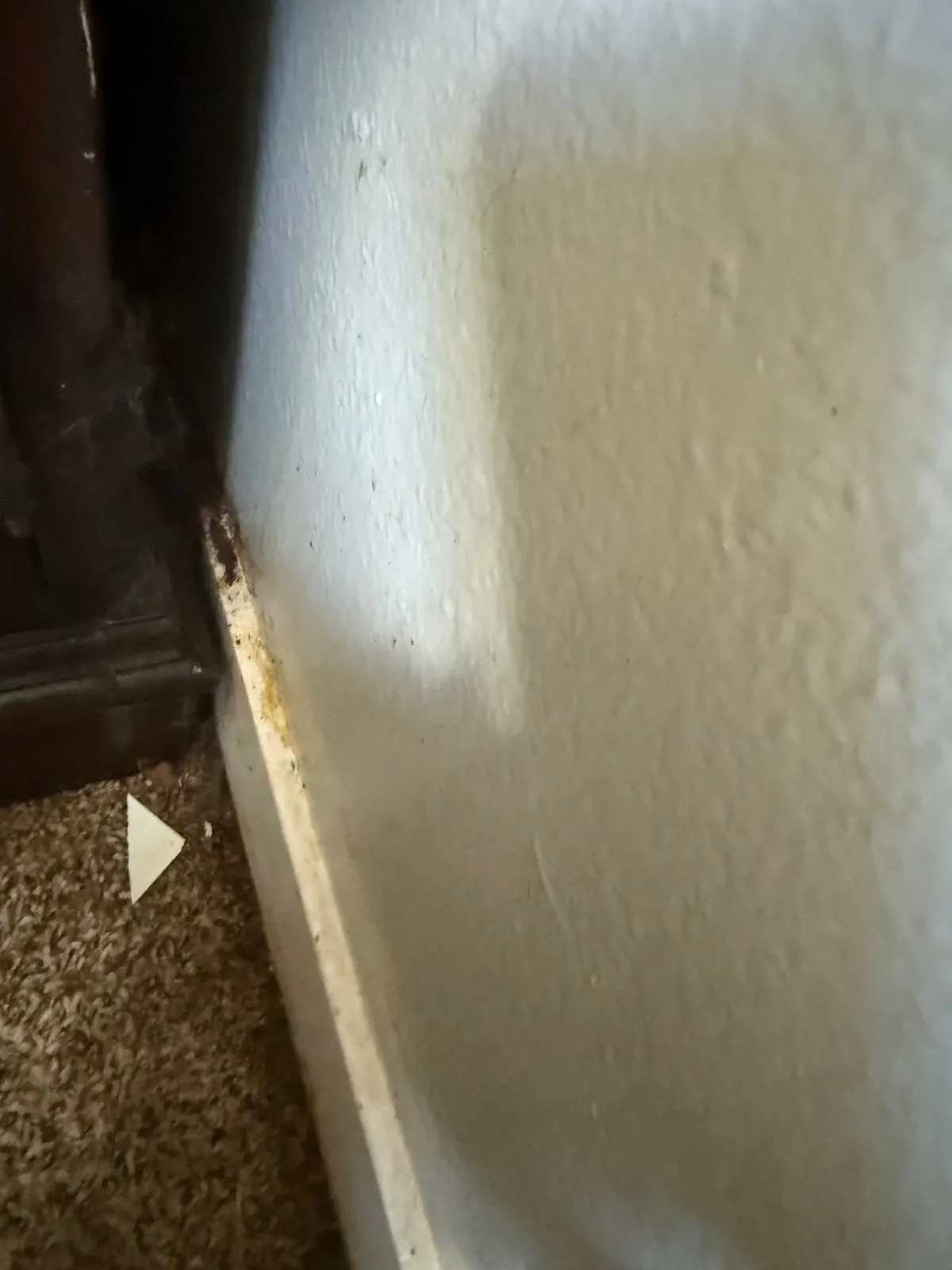 Before — House Cleaning in Sacramento, CA — September 2026