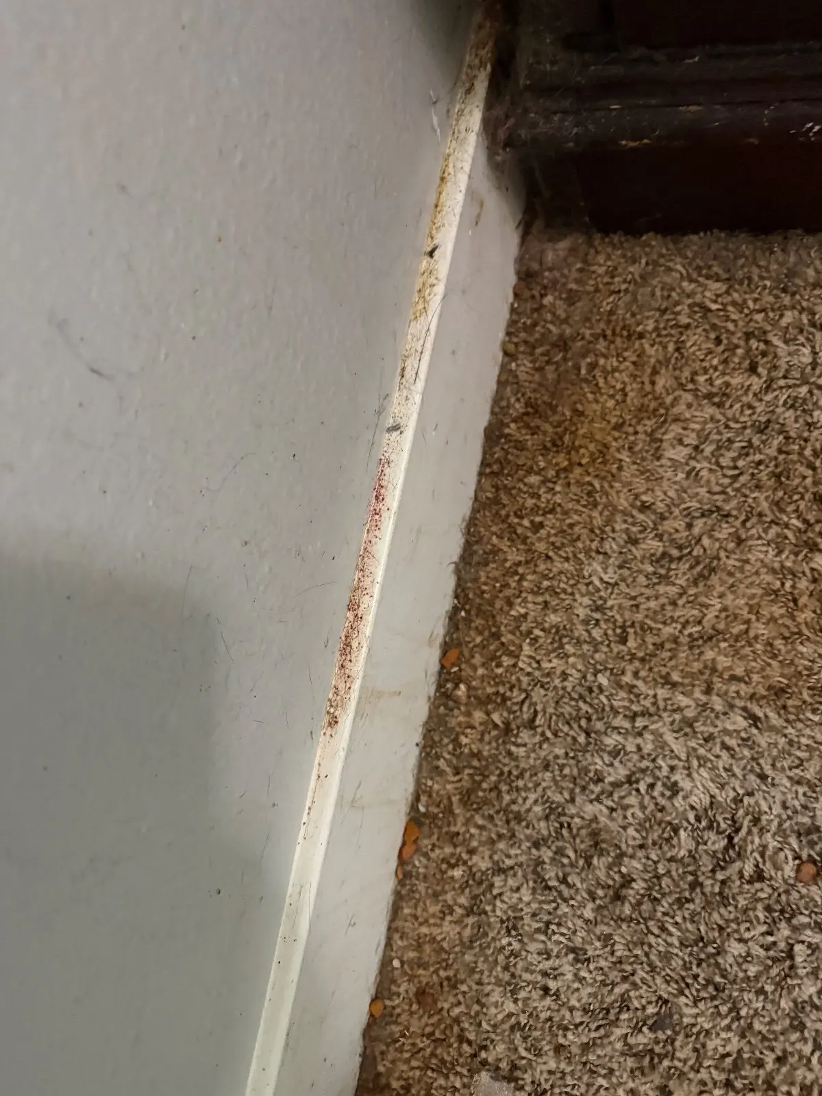Before — House Cleaning in Sacramento, CA — September 2026