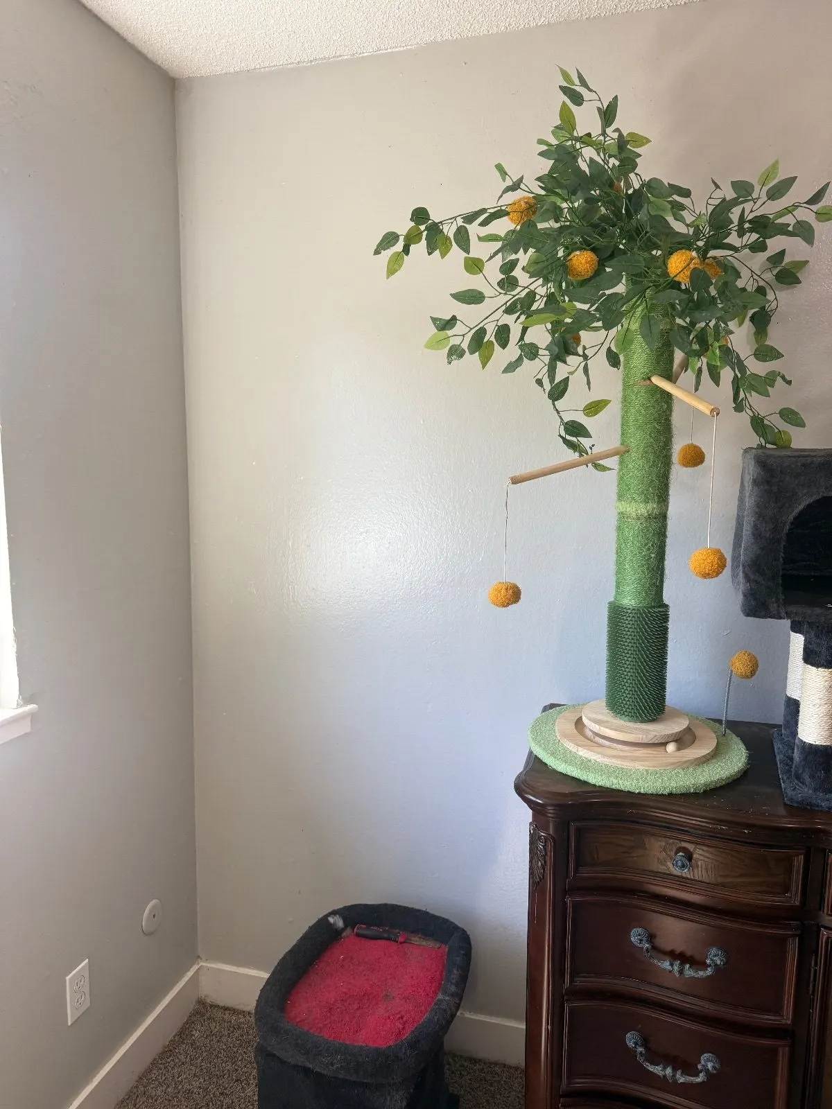 After — House Cleaning in Sacramento, CA — September 2026