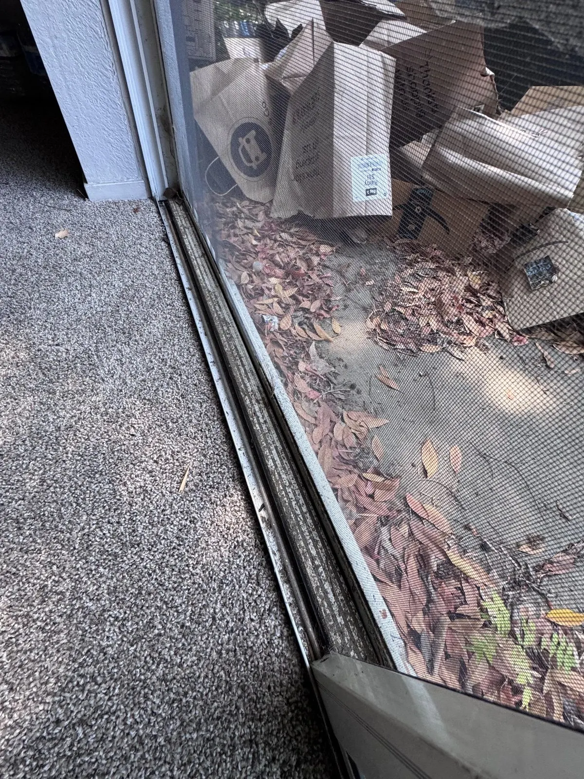 Before — House Cleaning in Davis, CA — September 2026