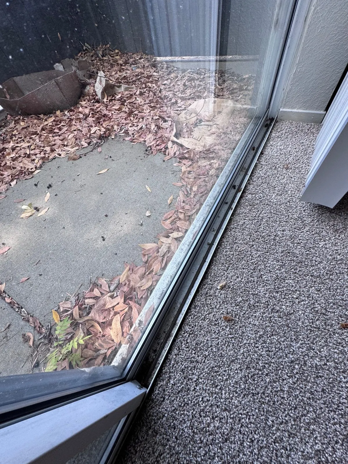 Before — House Cleaning in Davis, CA — September 2026