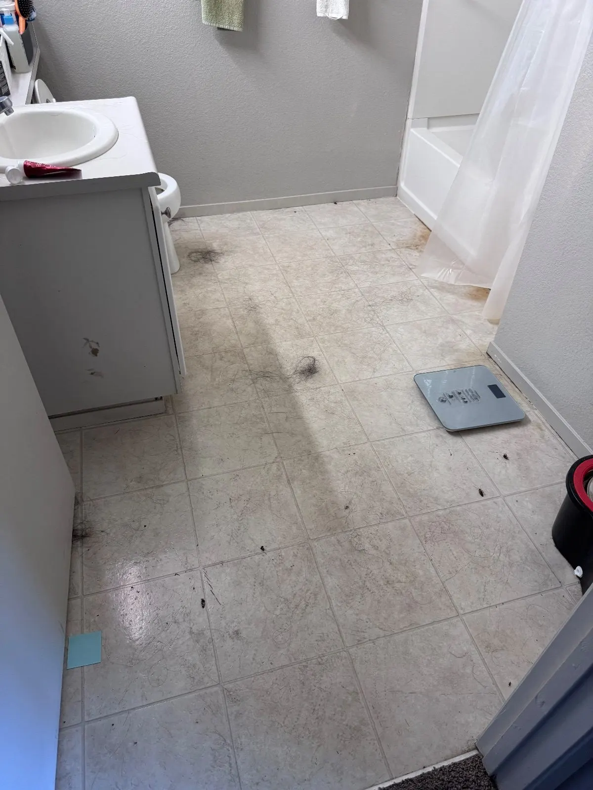 Before — House Cleaning in Davis, CA — September 2026
