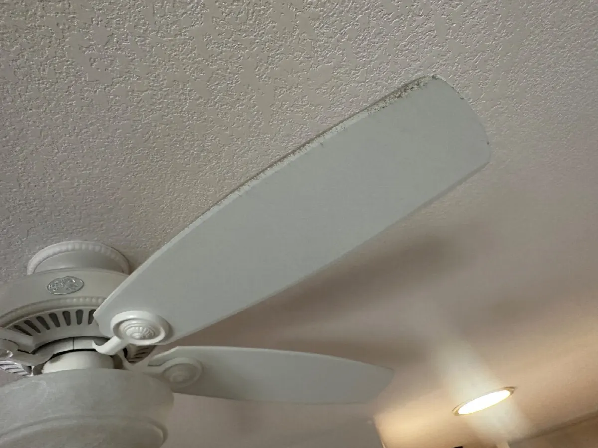 Before — House Cleaning in Davis, CA — September 2026
