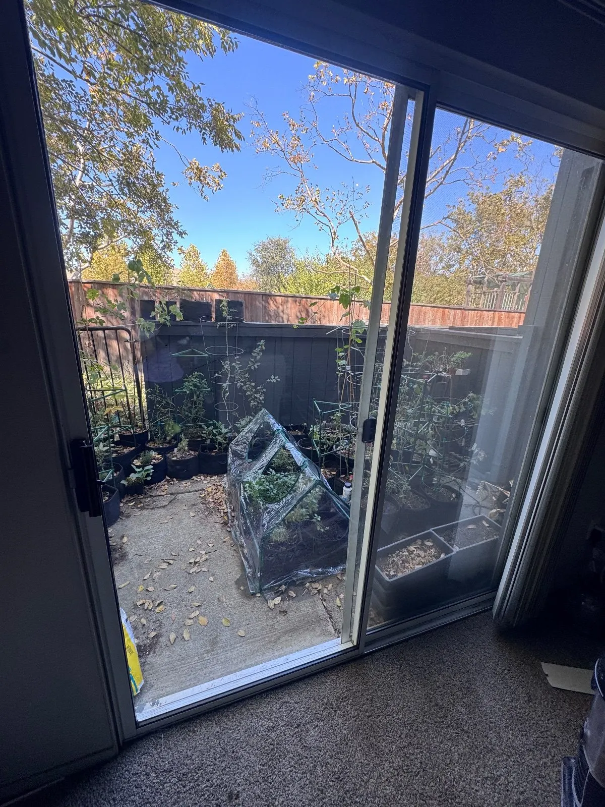 After — House Cleaning in Davis, CA — September 2026