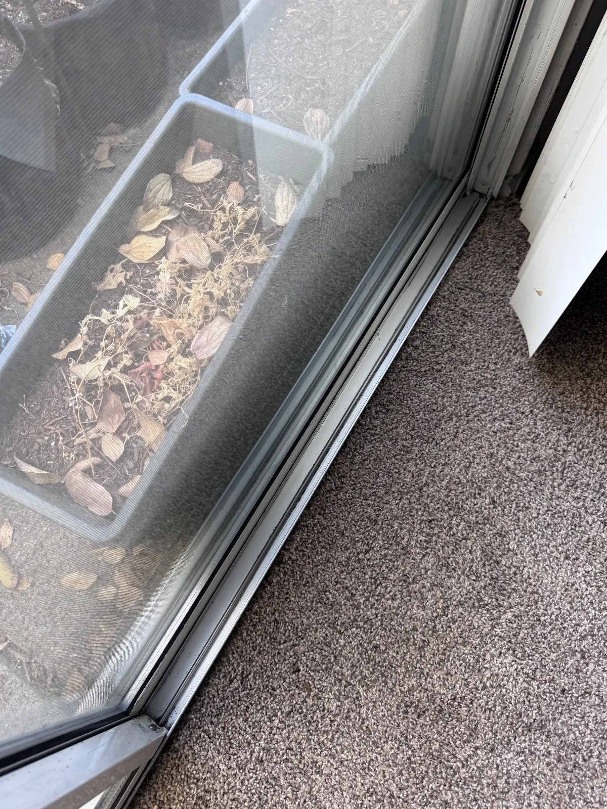 After — House Cleaning in Davis, CA — September 2026