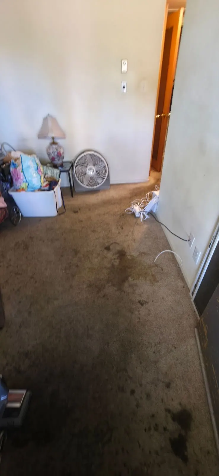 After — House Cleaning in Sacramento, CA — July 2026