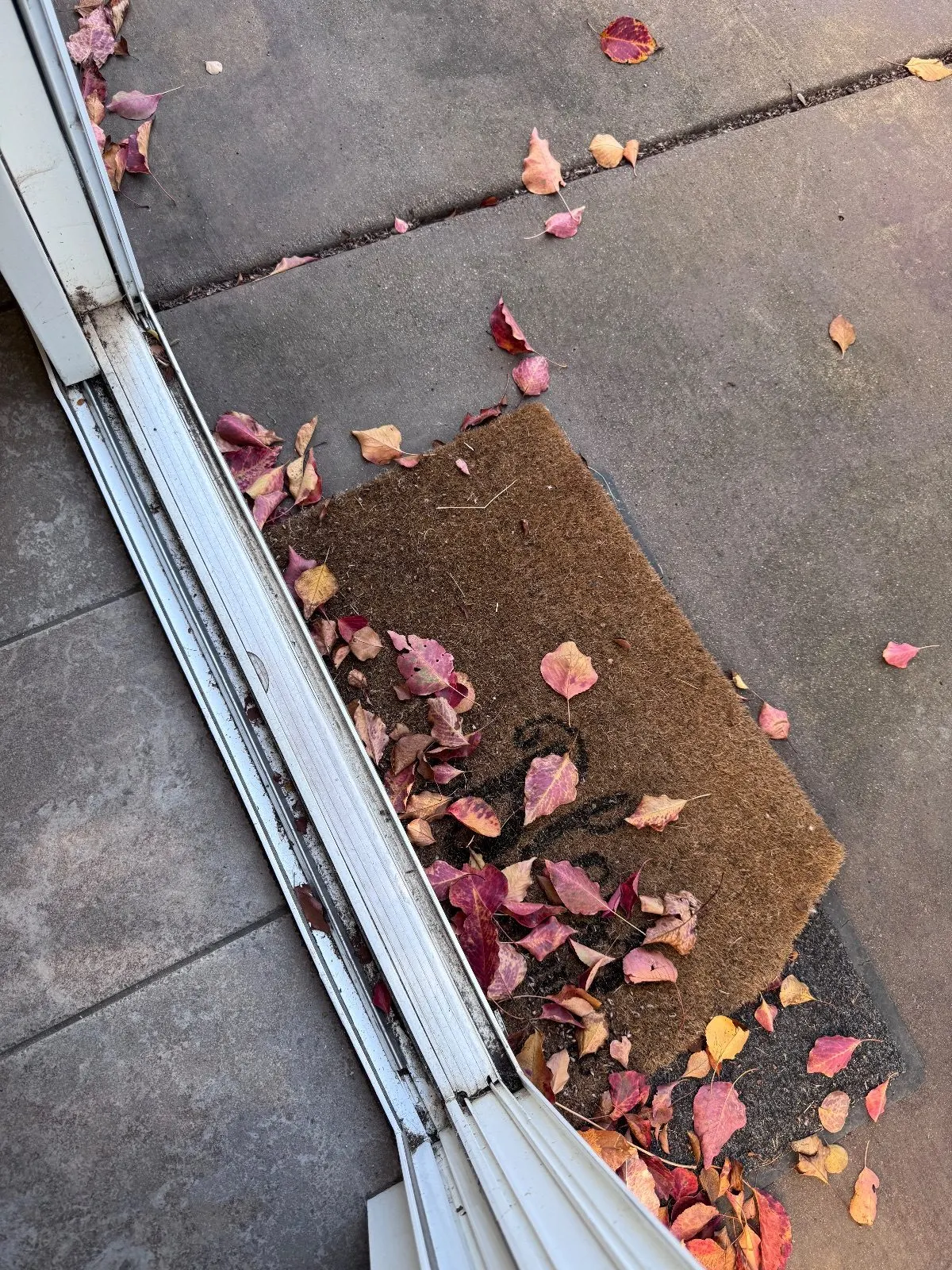 Before — House Cleaning in Roseville, CA — September 2026