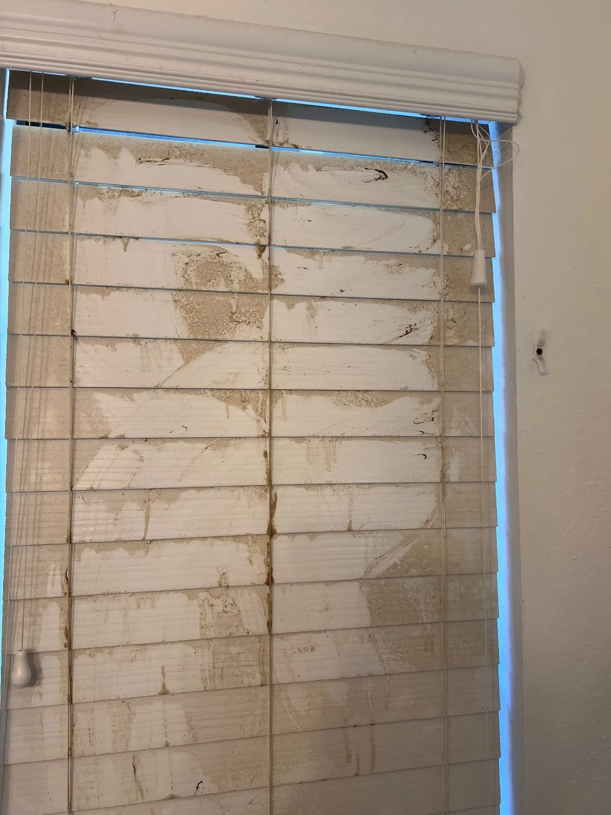 Before — House Cleaning in Auburn, CA — September 2026