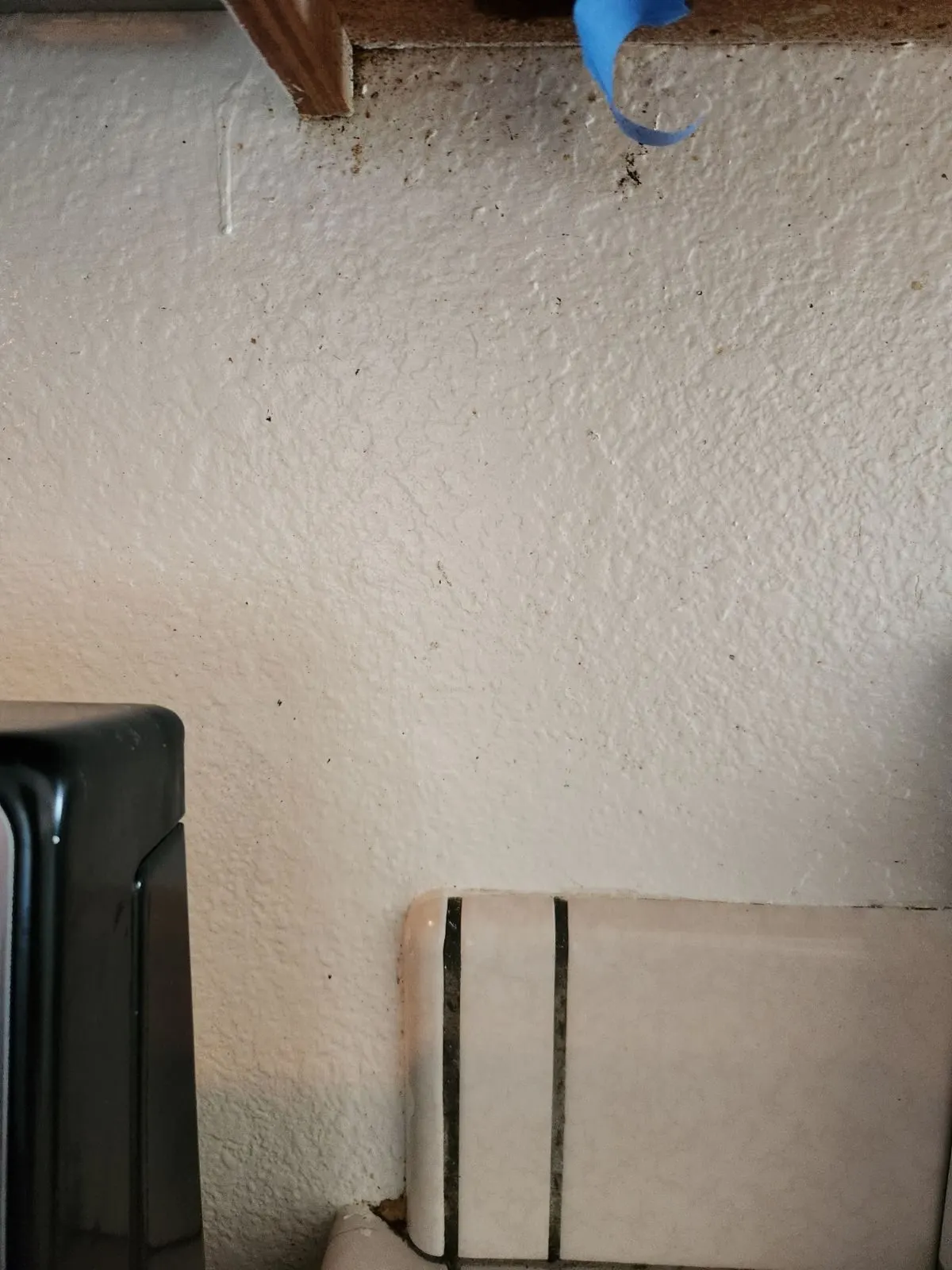 Before — House Cleaning in Sacramento, CA — September 2026
