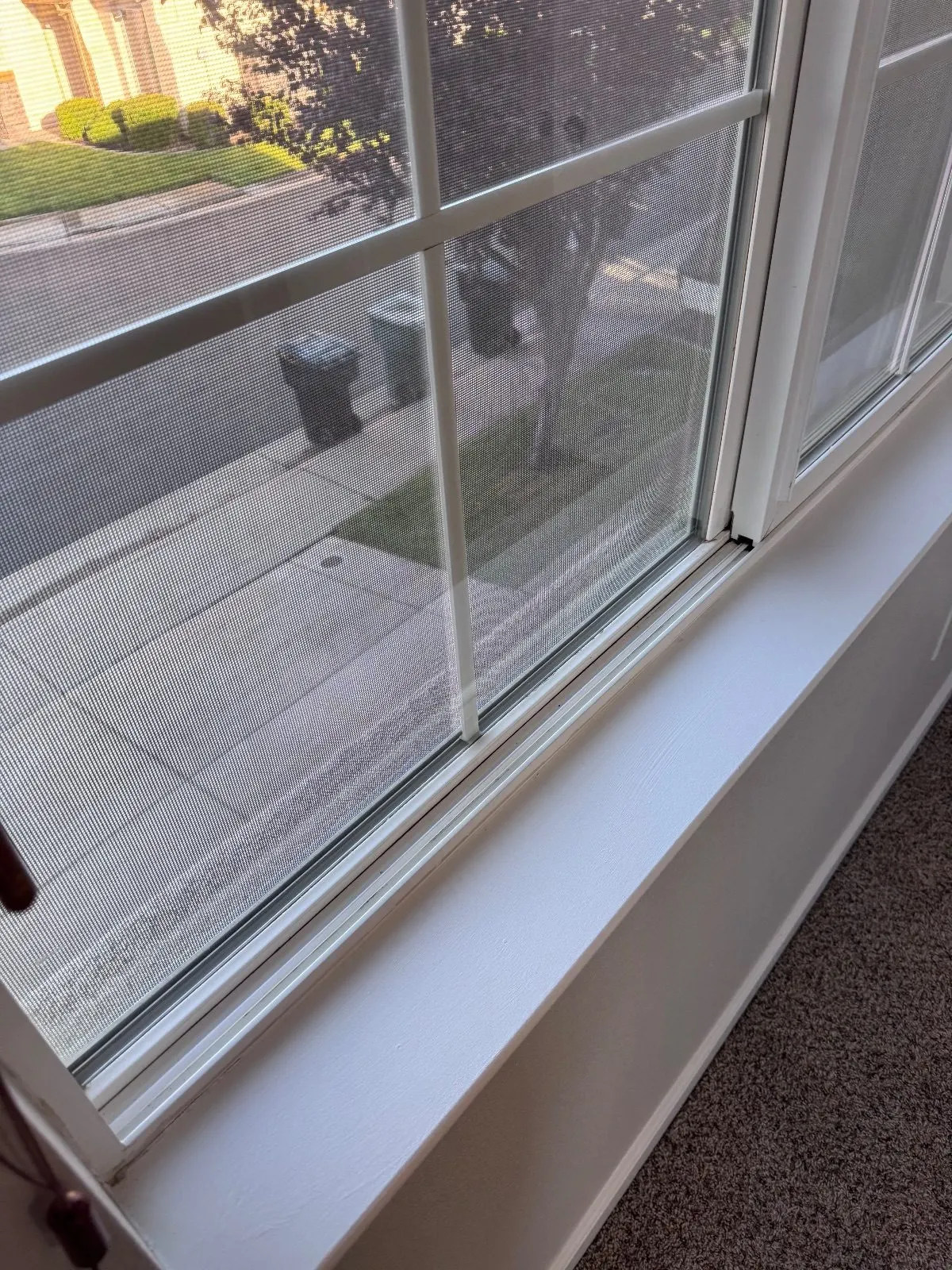 After — House Cleaning in Roseville, CA — September 2026
