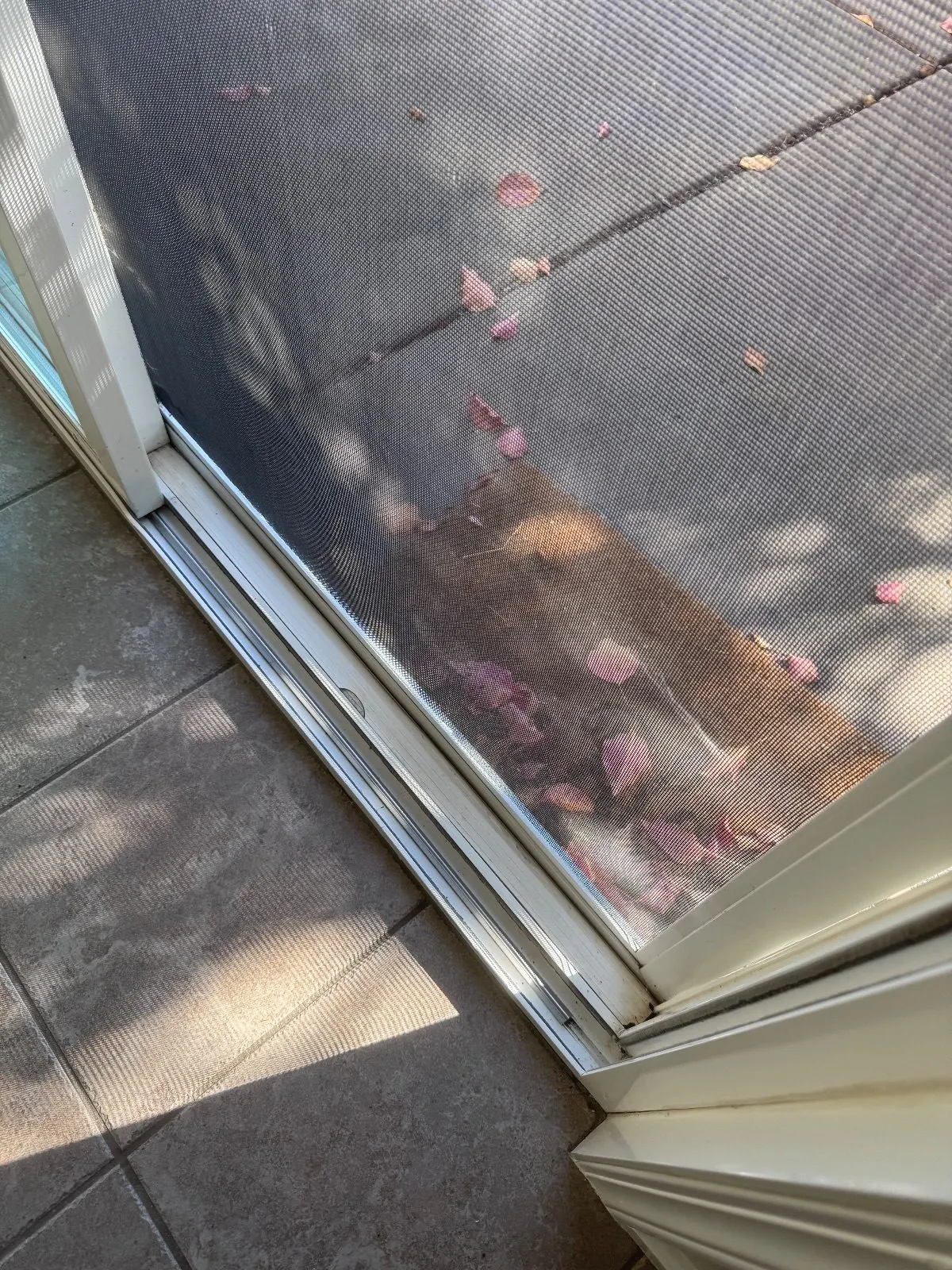 After — House Cleaning in Roseville, CA — September 2026