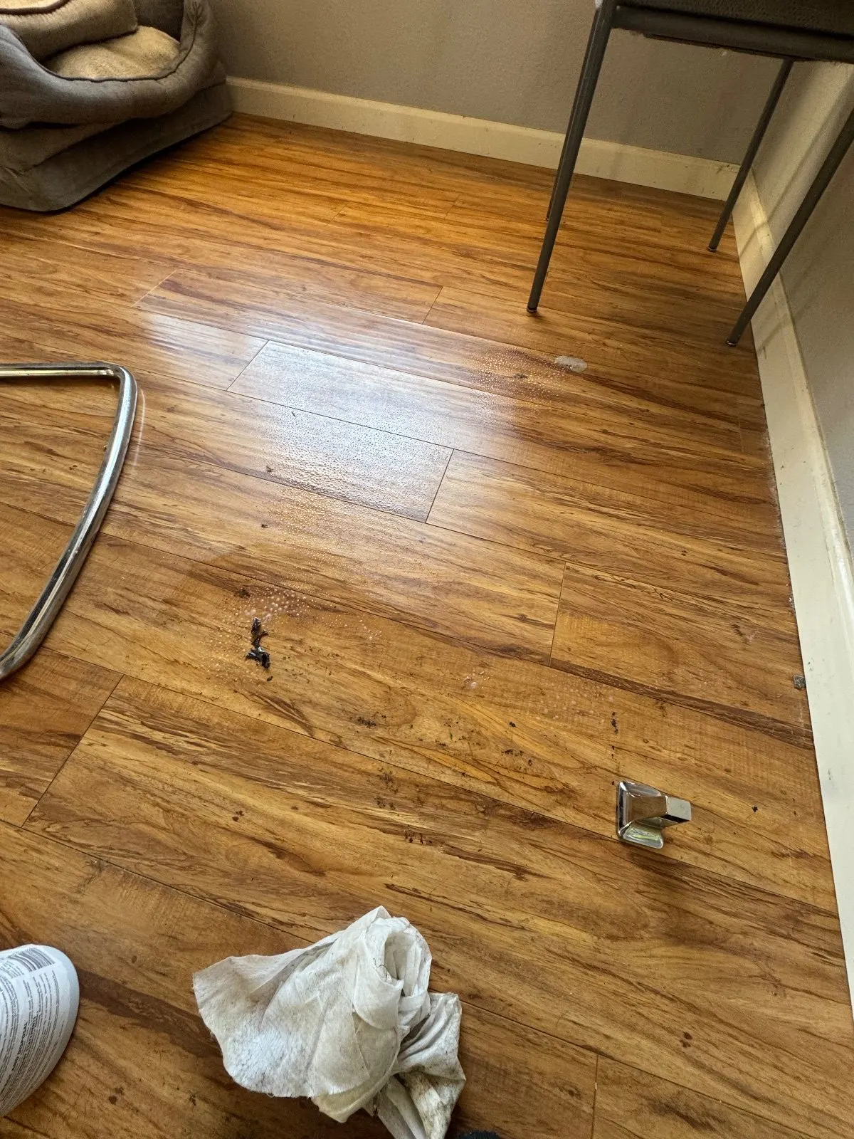 Before — House Cleaning in Rancho Cordova, CA — September 2026