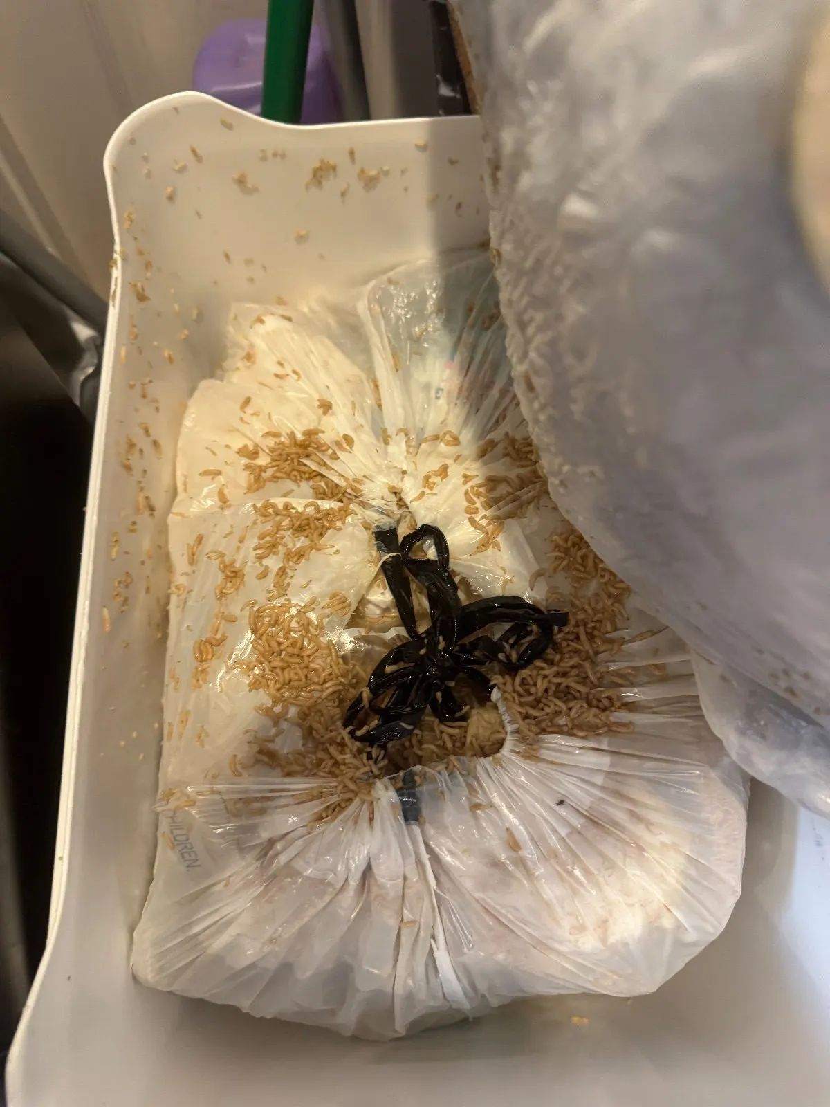 Before — House Cleaning in Rancho Cordova, CA — September 2026