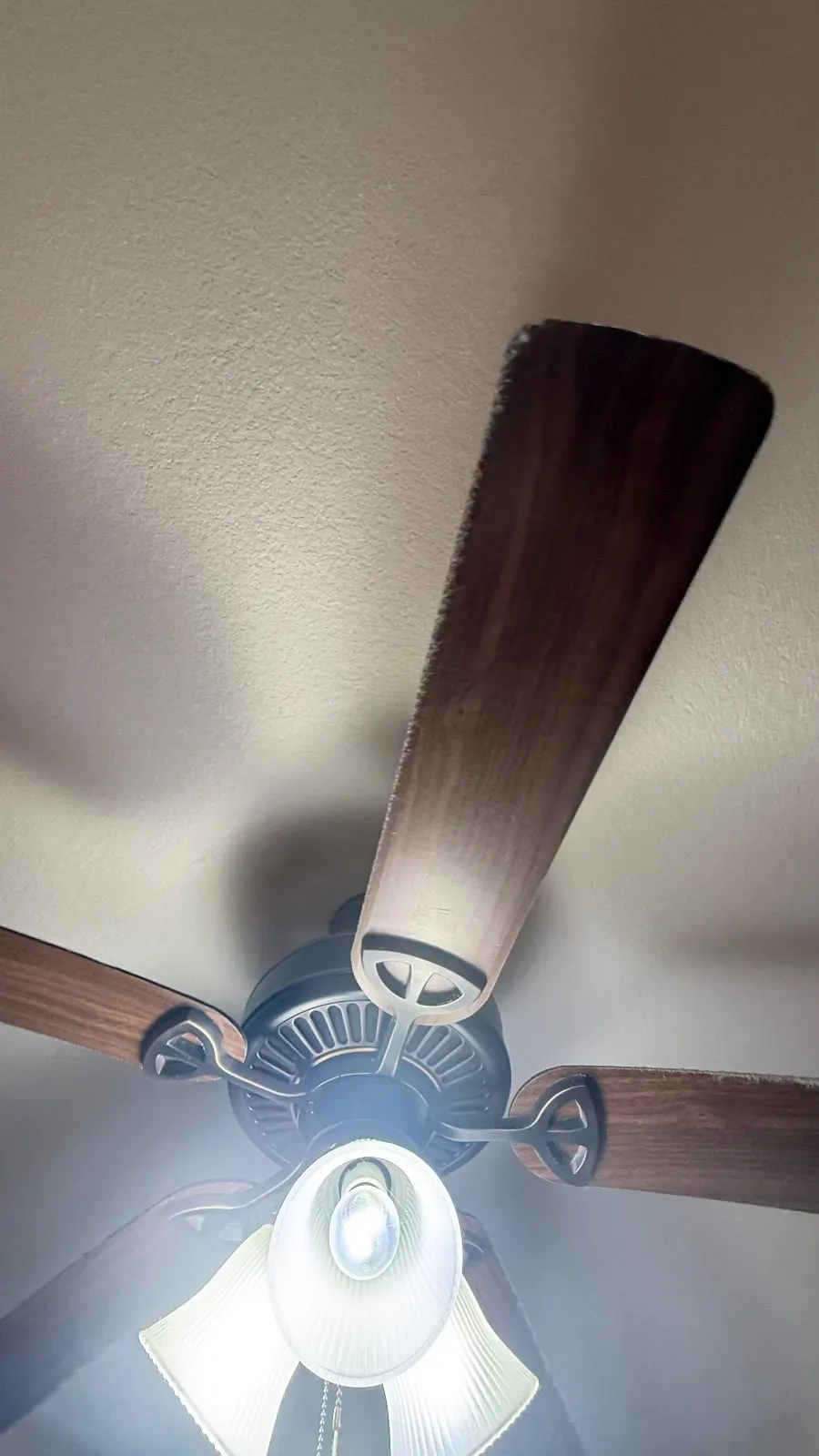 Before — House Cleaning in Sacramento, CA — September 2026