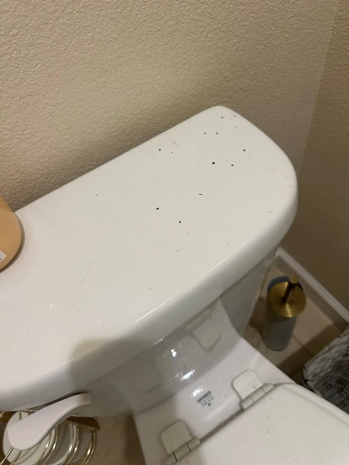 Before — House Cleaning in Woodland, CA — September 2026