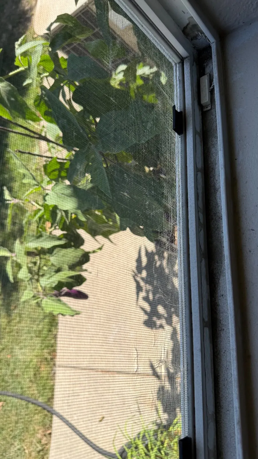 Before — House Cleaning in Sacramento, CA — September 2026