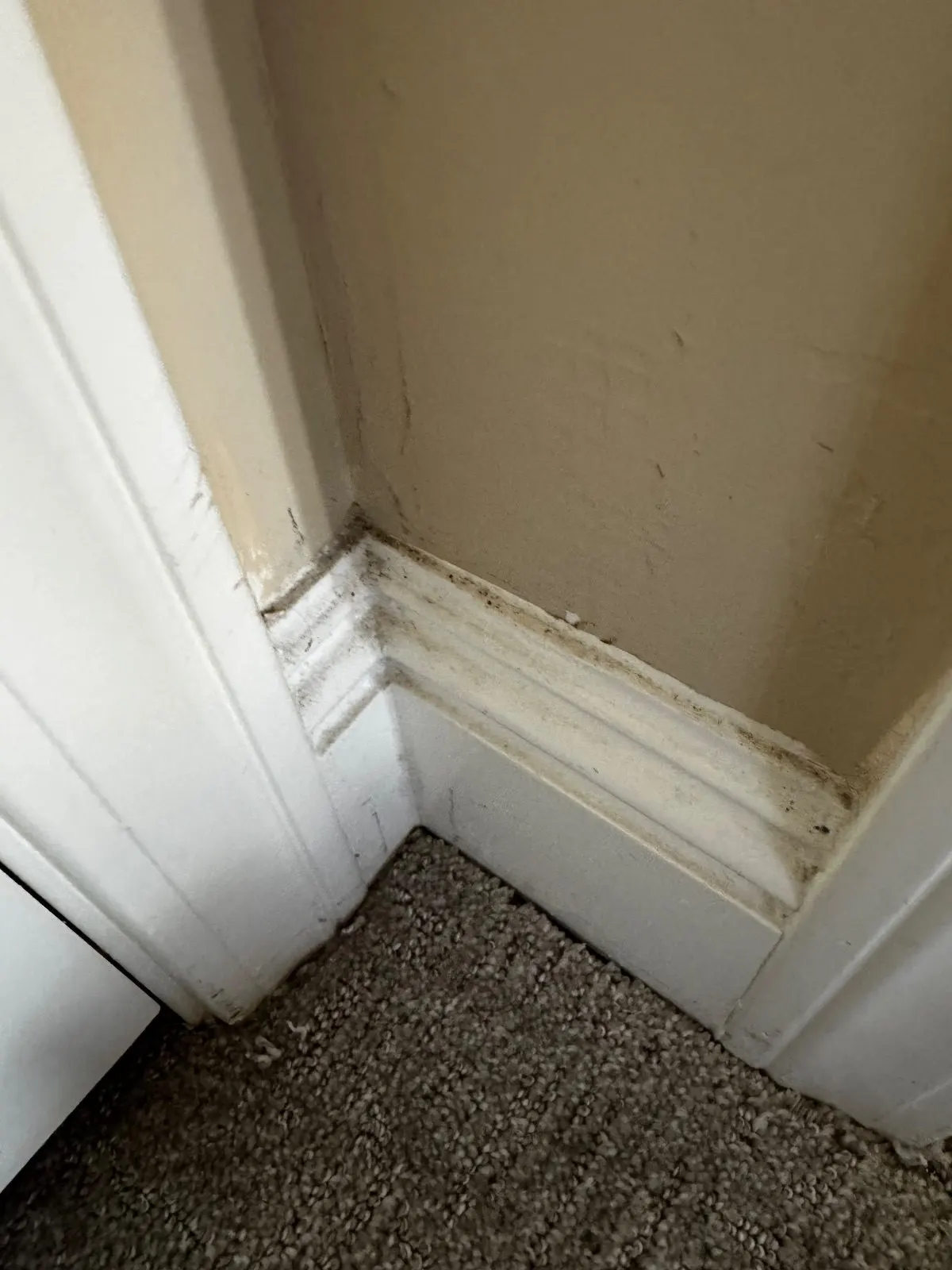 Before — House Cleaning in Orangevale, CA — September 2026