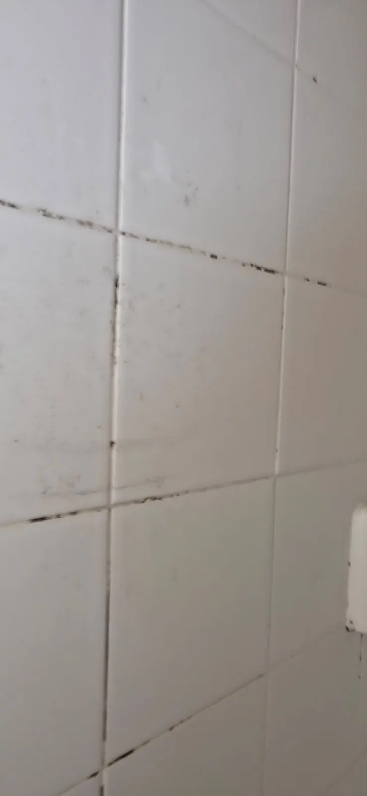 Before — House Cleaning in Sacramento, CA — September 2026